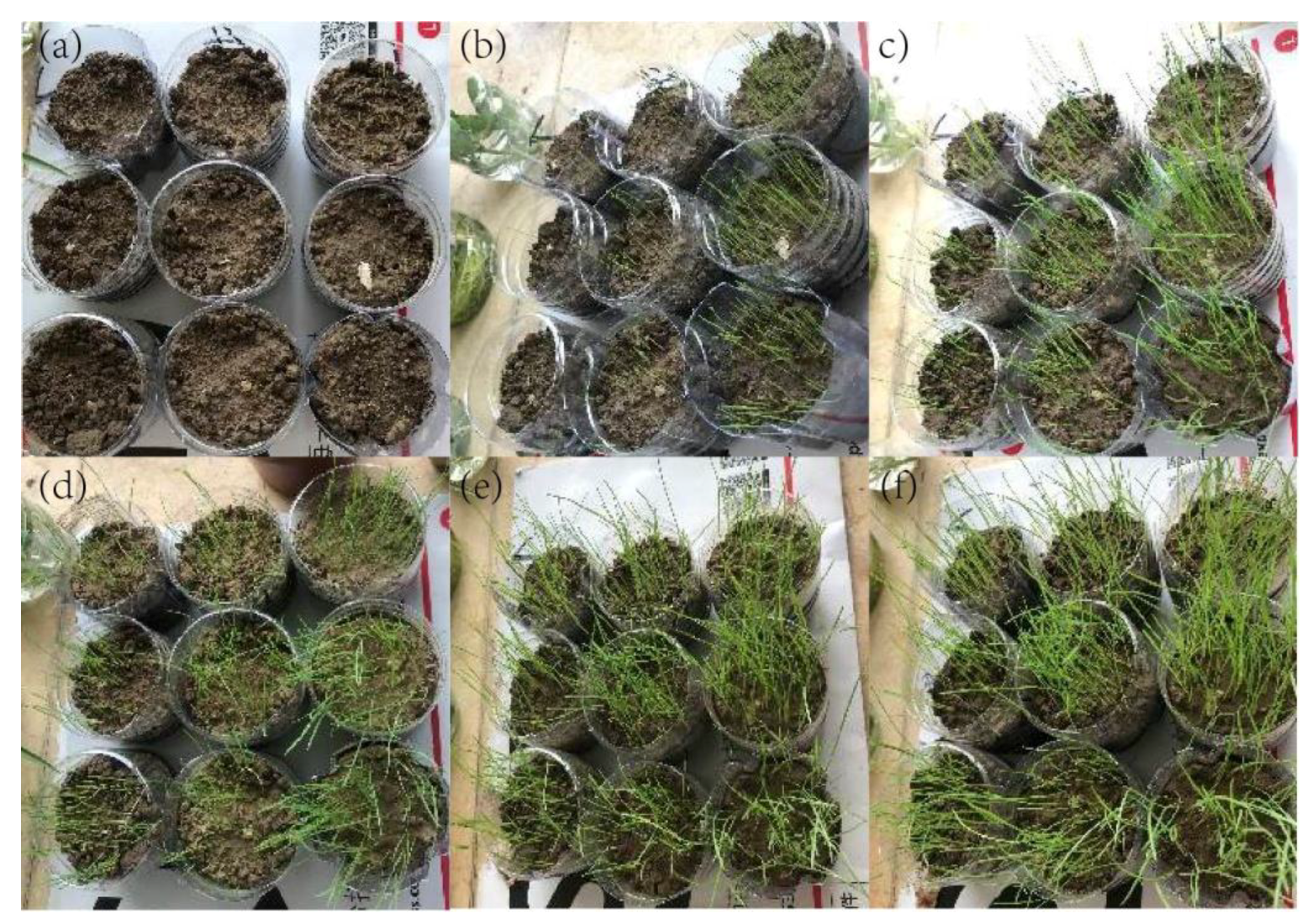 Applsci 11 10466 g006 550