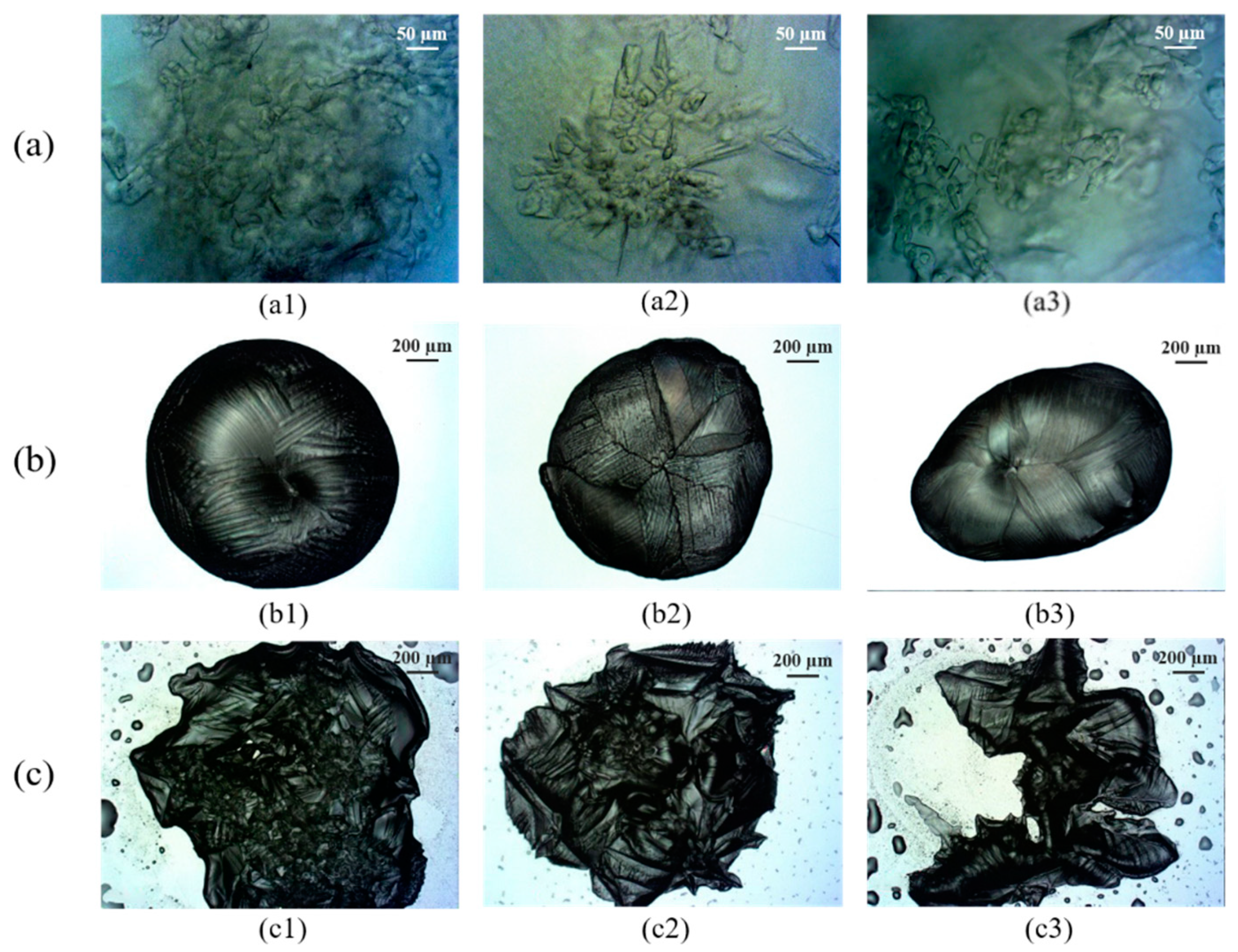 Applsci 11 10470 g004 550