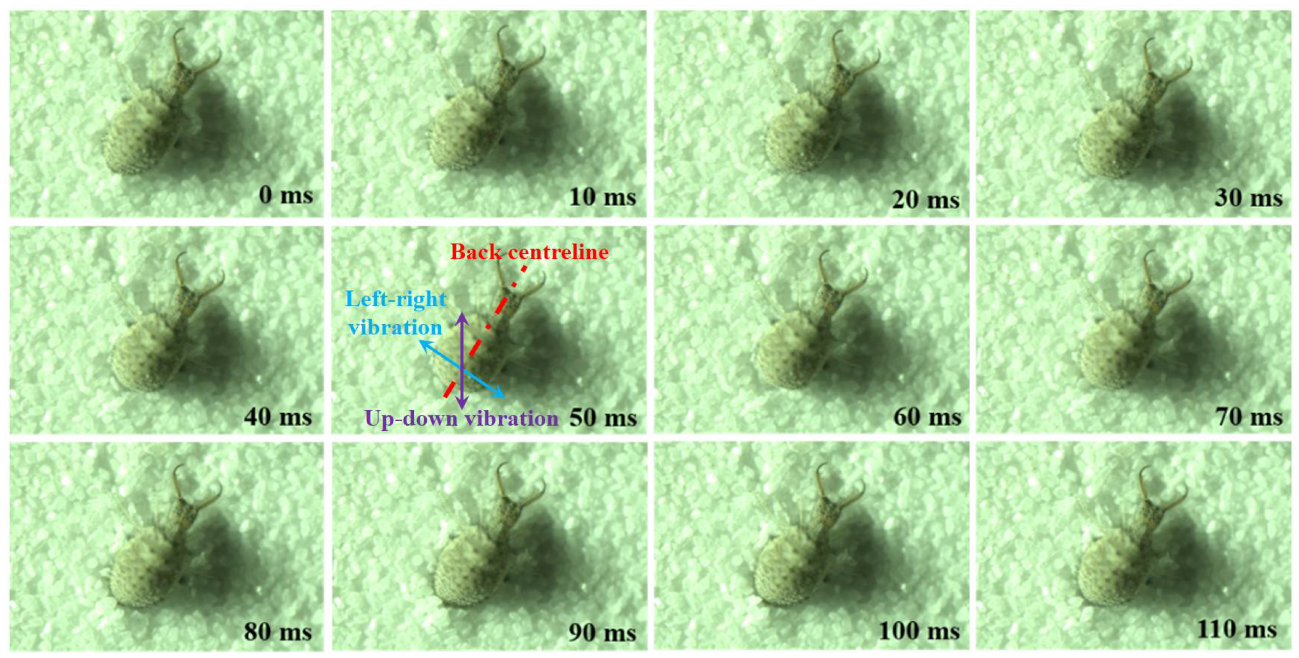 Applsci 11 10480 g002 550