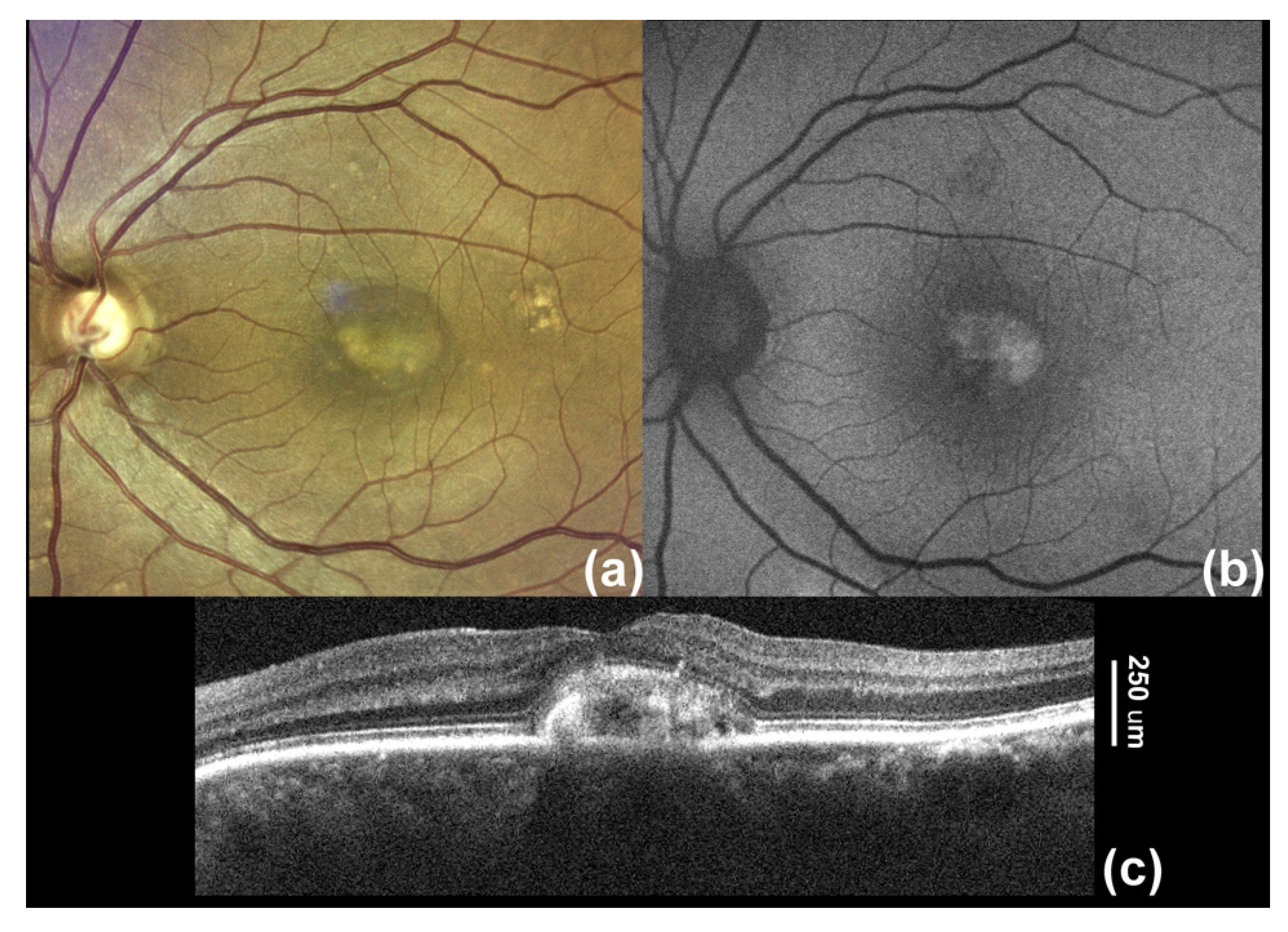 Applsci 11 10487 g001 550