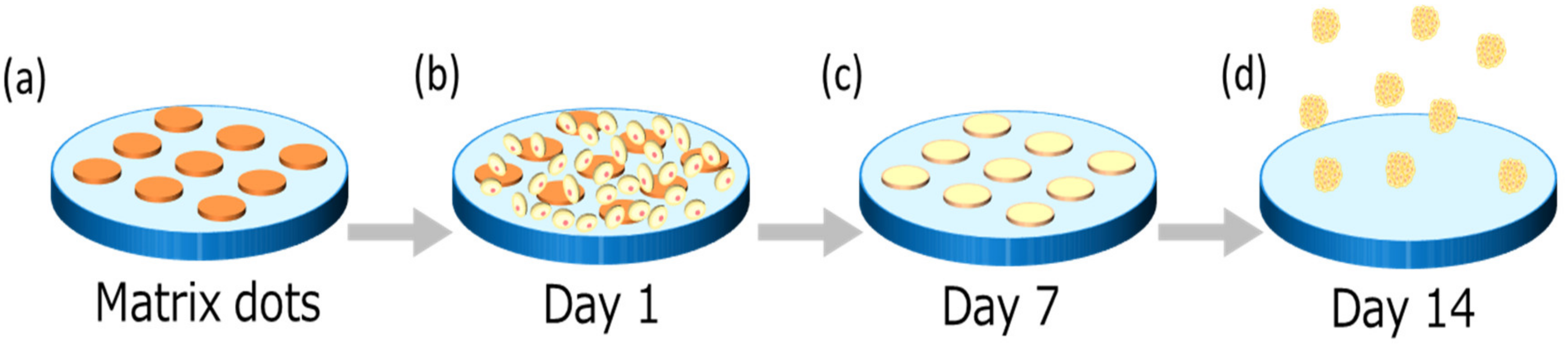 Applsci 11 10495 g001