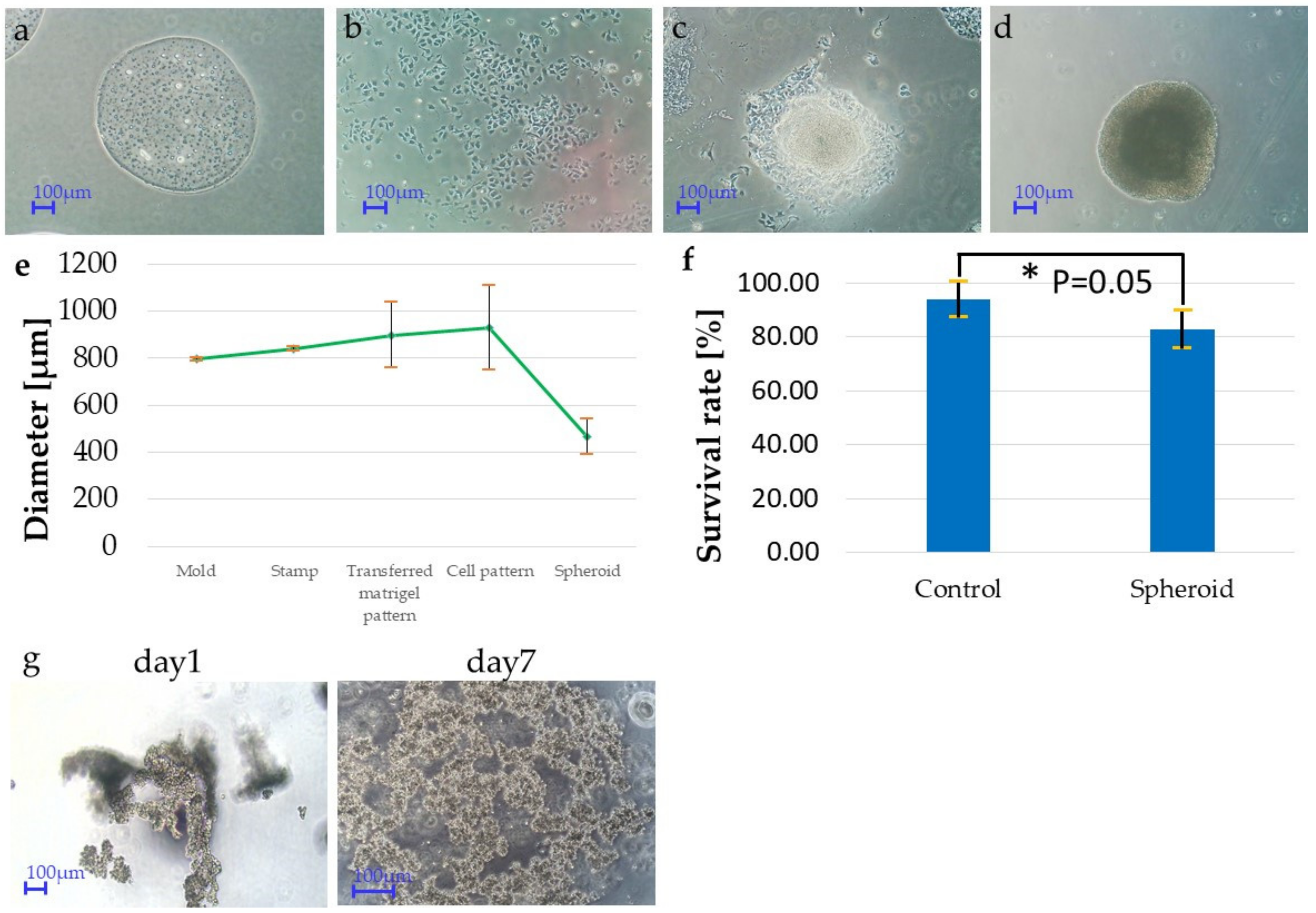 Applsci 11 10495 g003