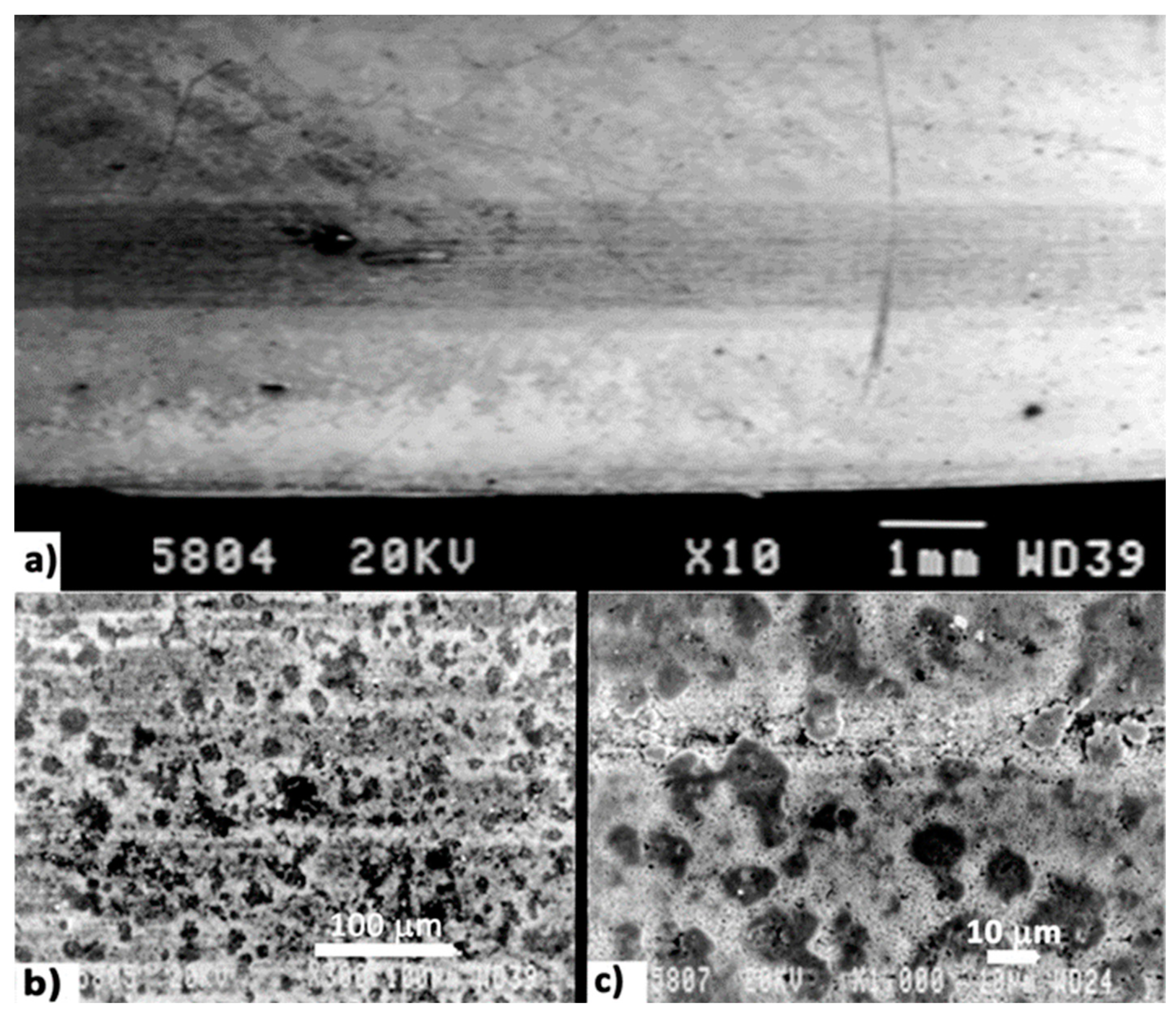 Applsci 11 10499 g007 550