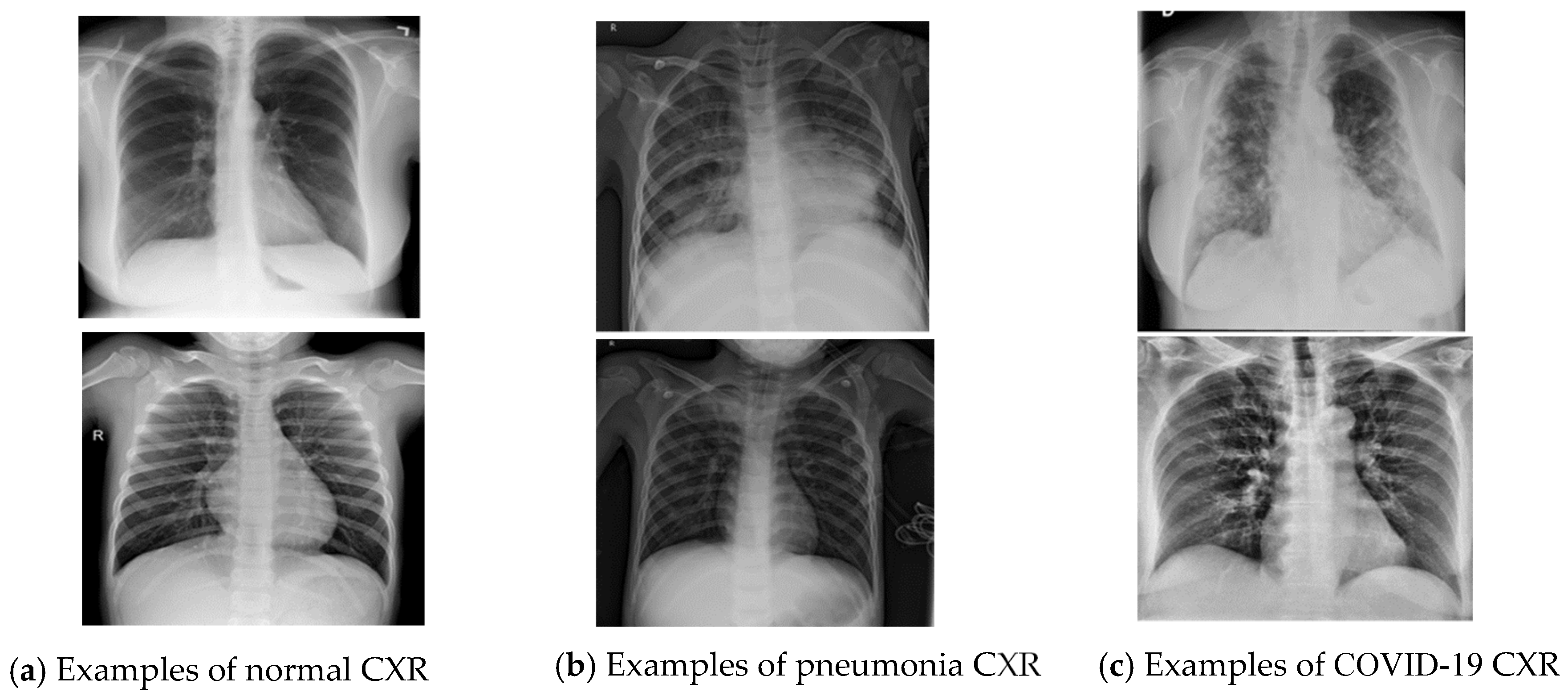 Applsci 11 10528 g002 550