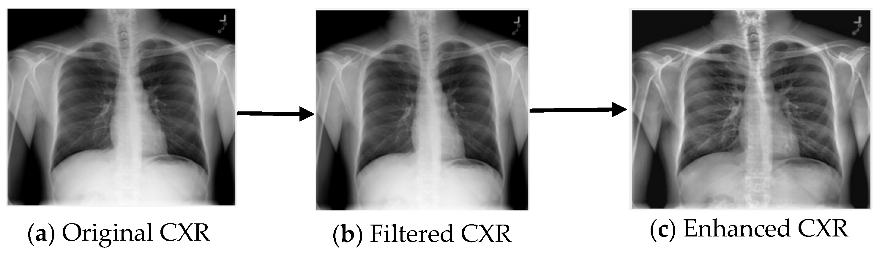 Applsci 11 10528 g004 550