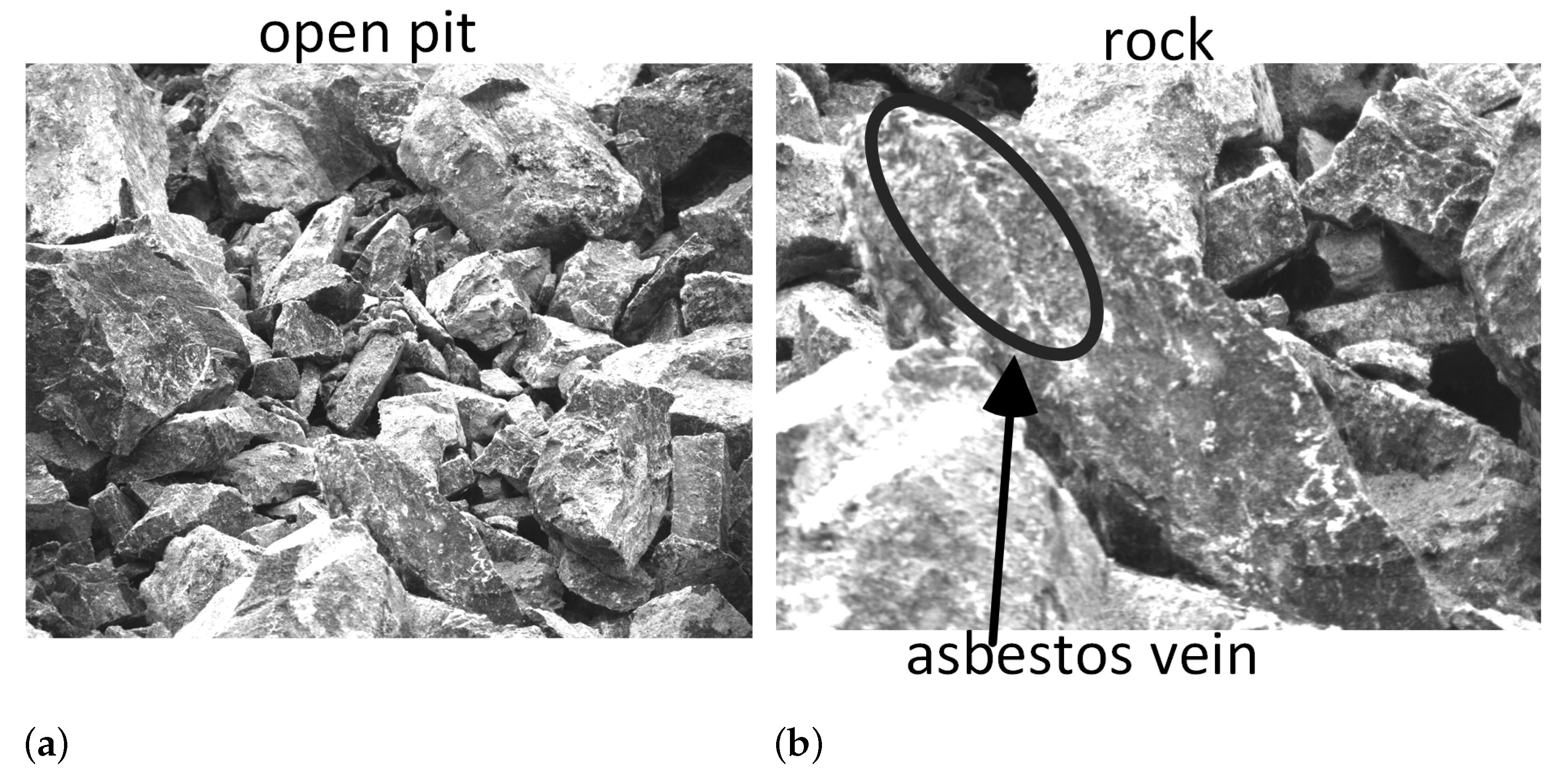 Applsci 11 10532 g001