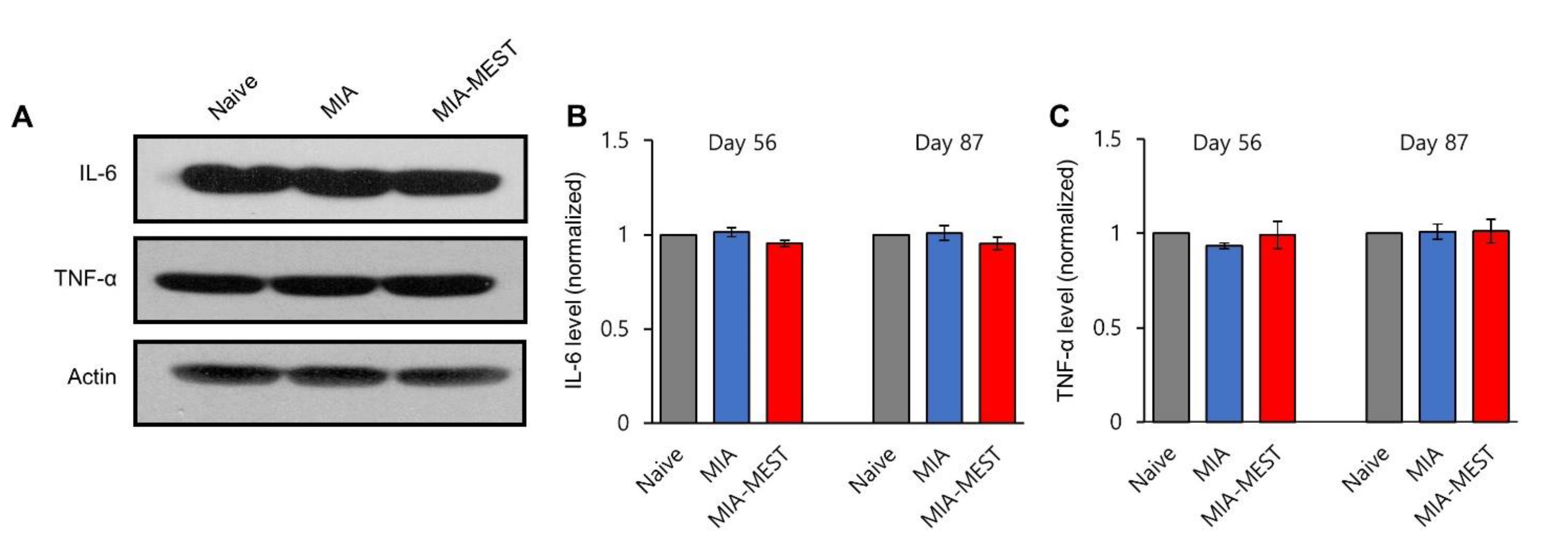 Applsci 11 10534 g005