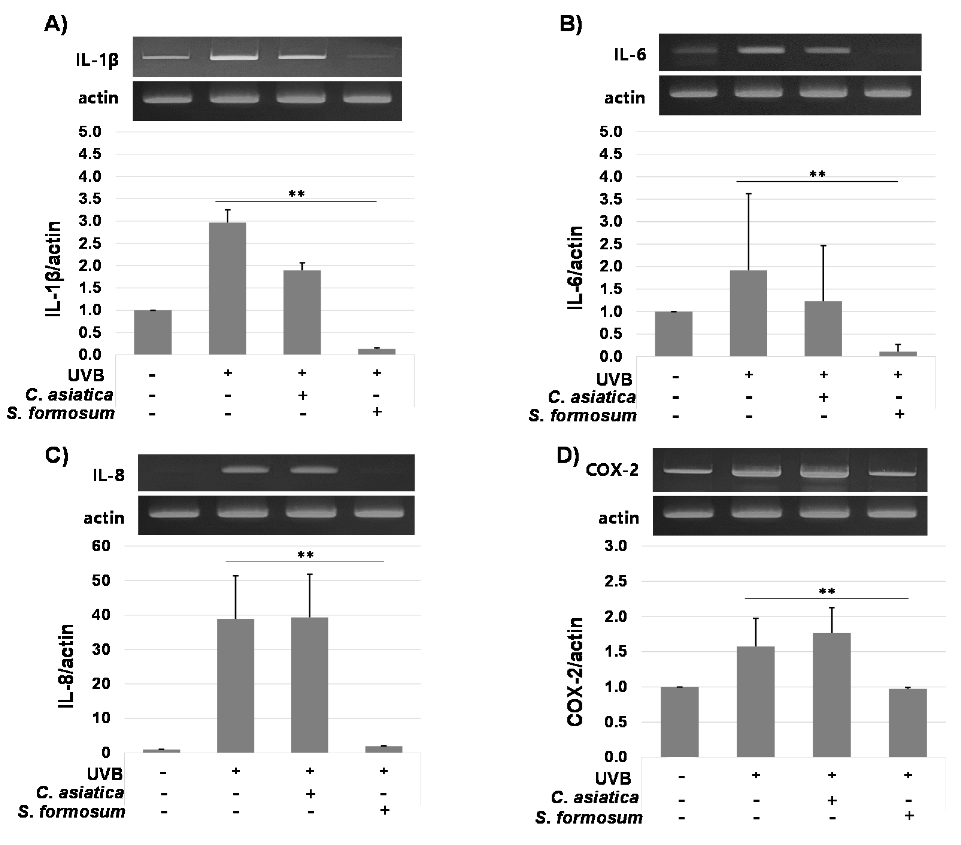 Applsci 11 10552 g002