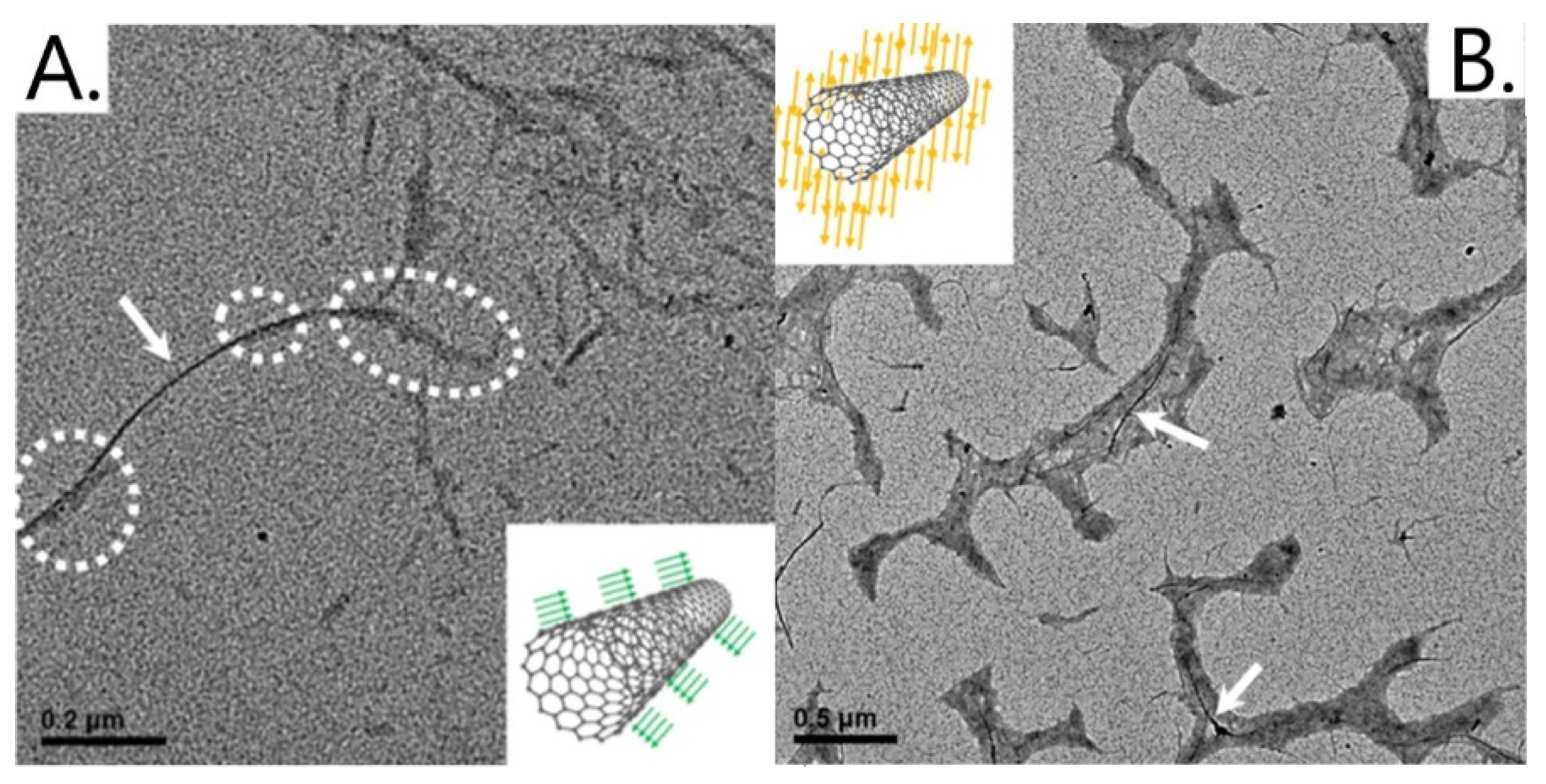 Applsci 11 10565 g003