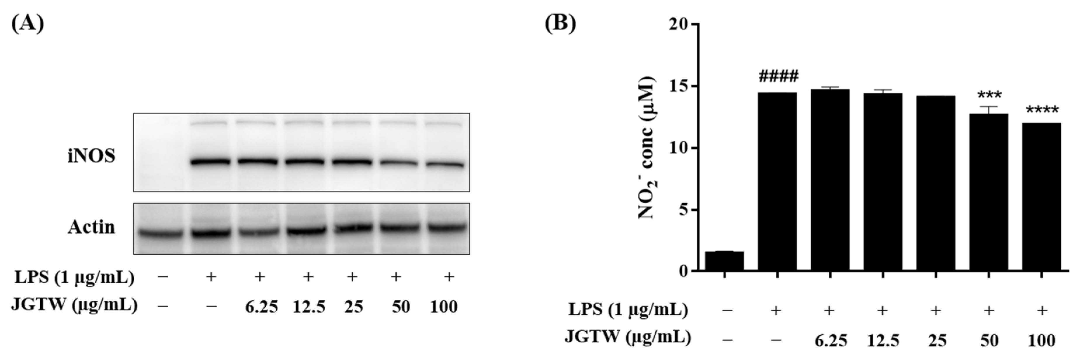 Applsci 11 10569 g006