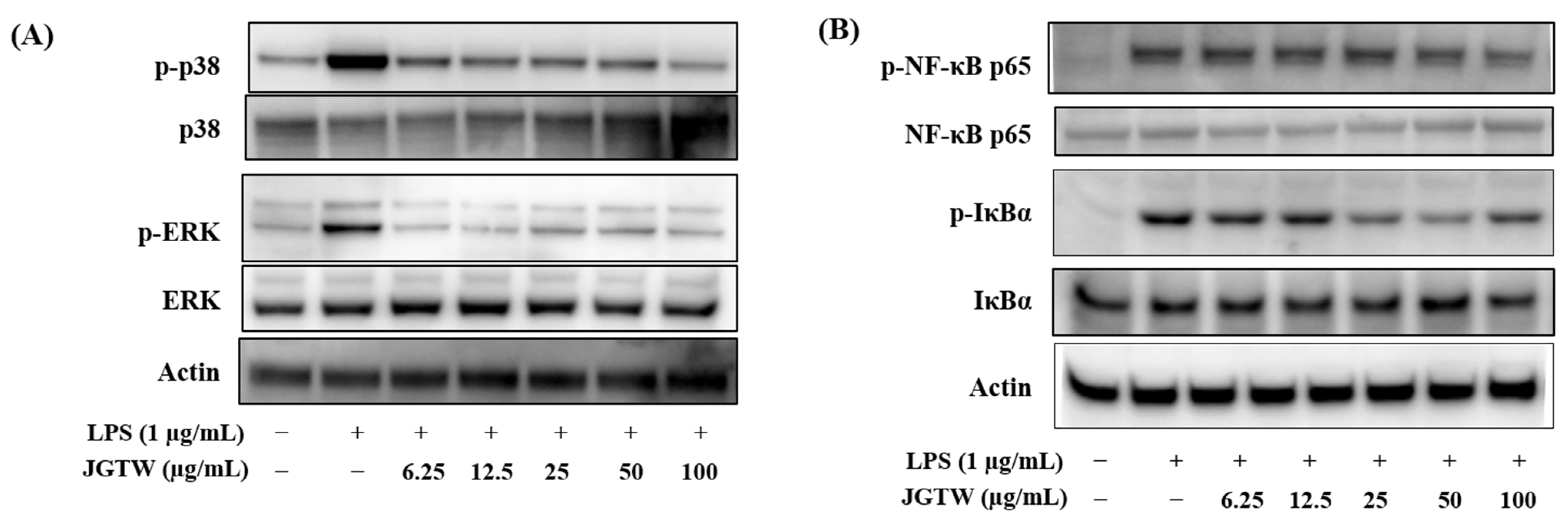 Applsci 11 10569 g007