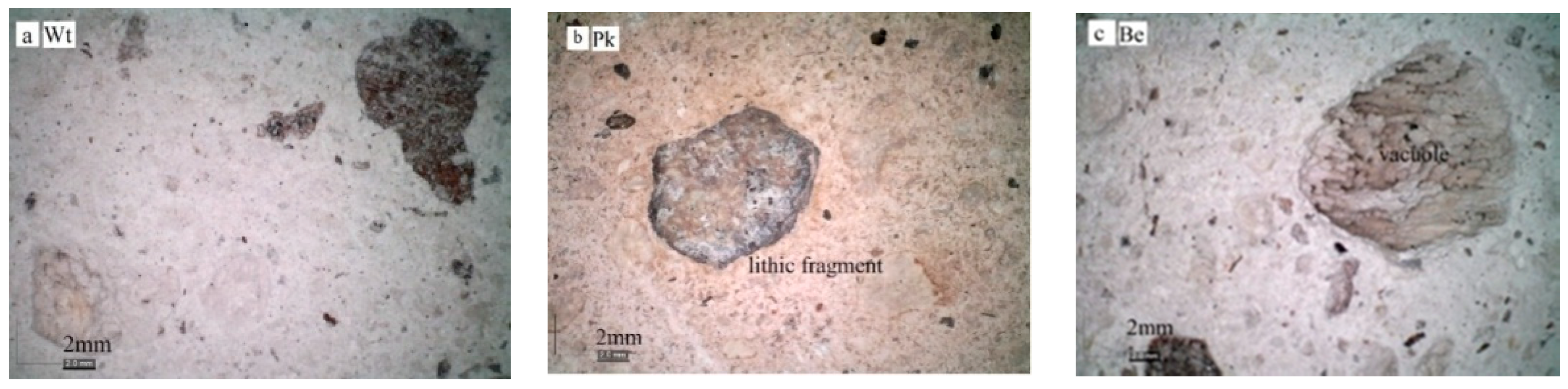 Applsci 11 10571 g003a