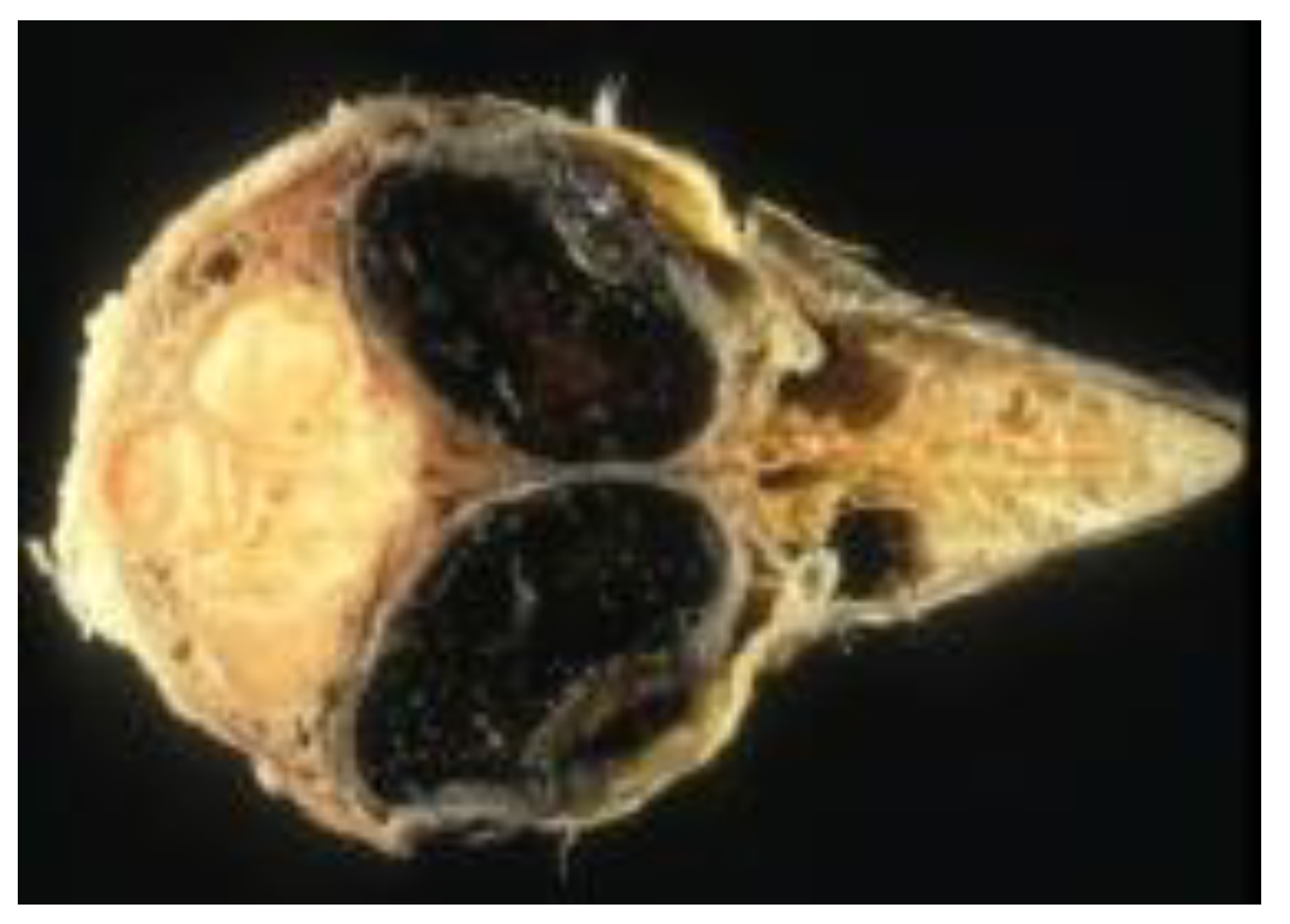 Applsci 11 10584 g005