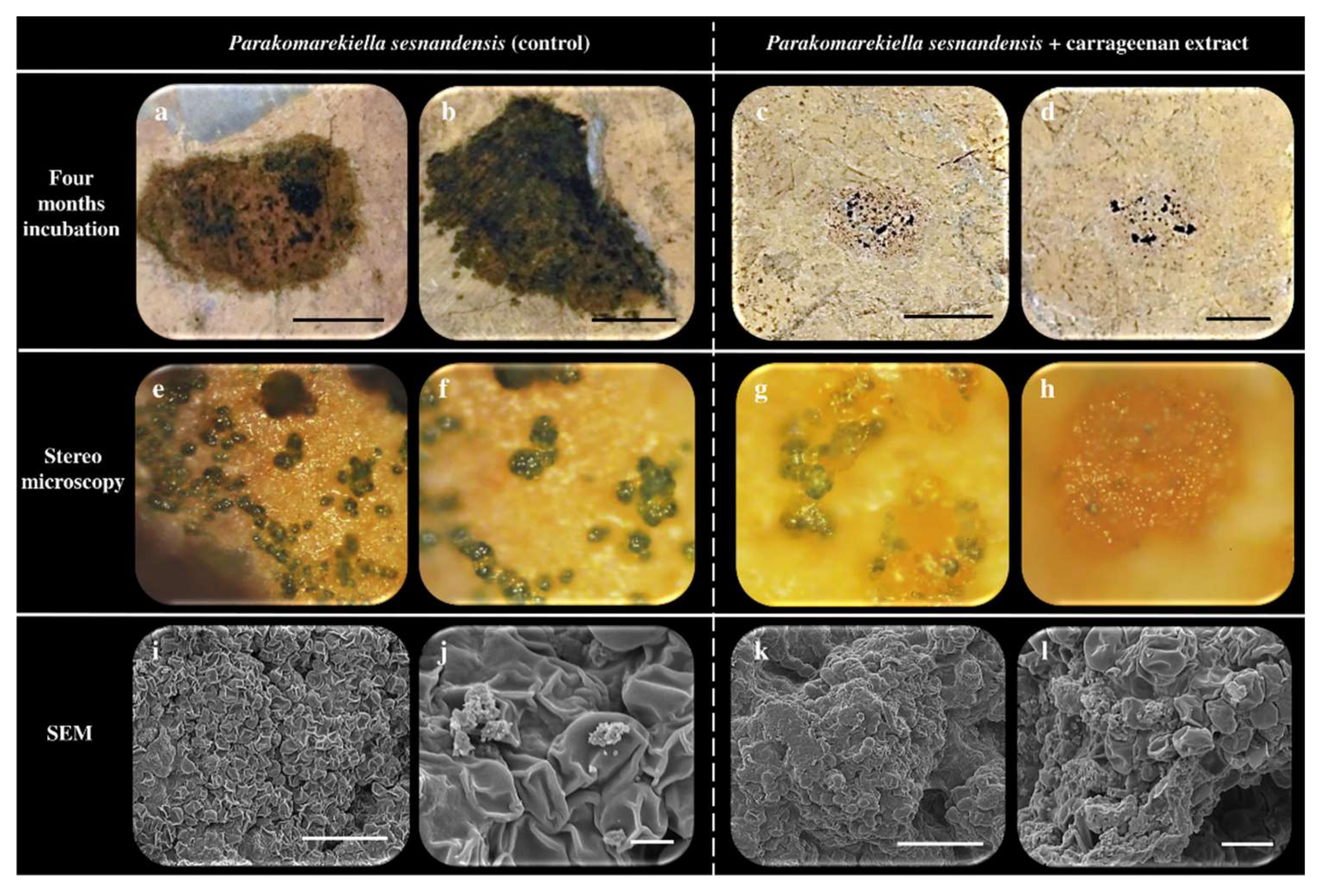 Applsci 11 10589 g001 550