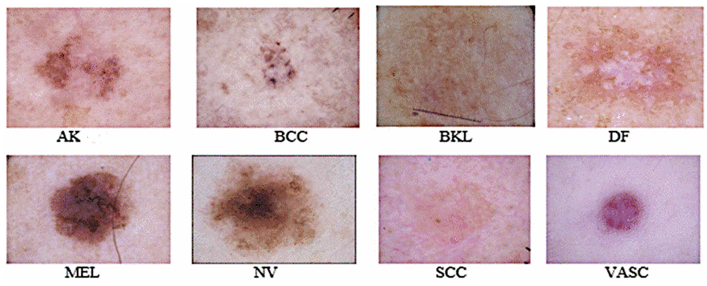 Applsci 11 10593 g003