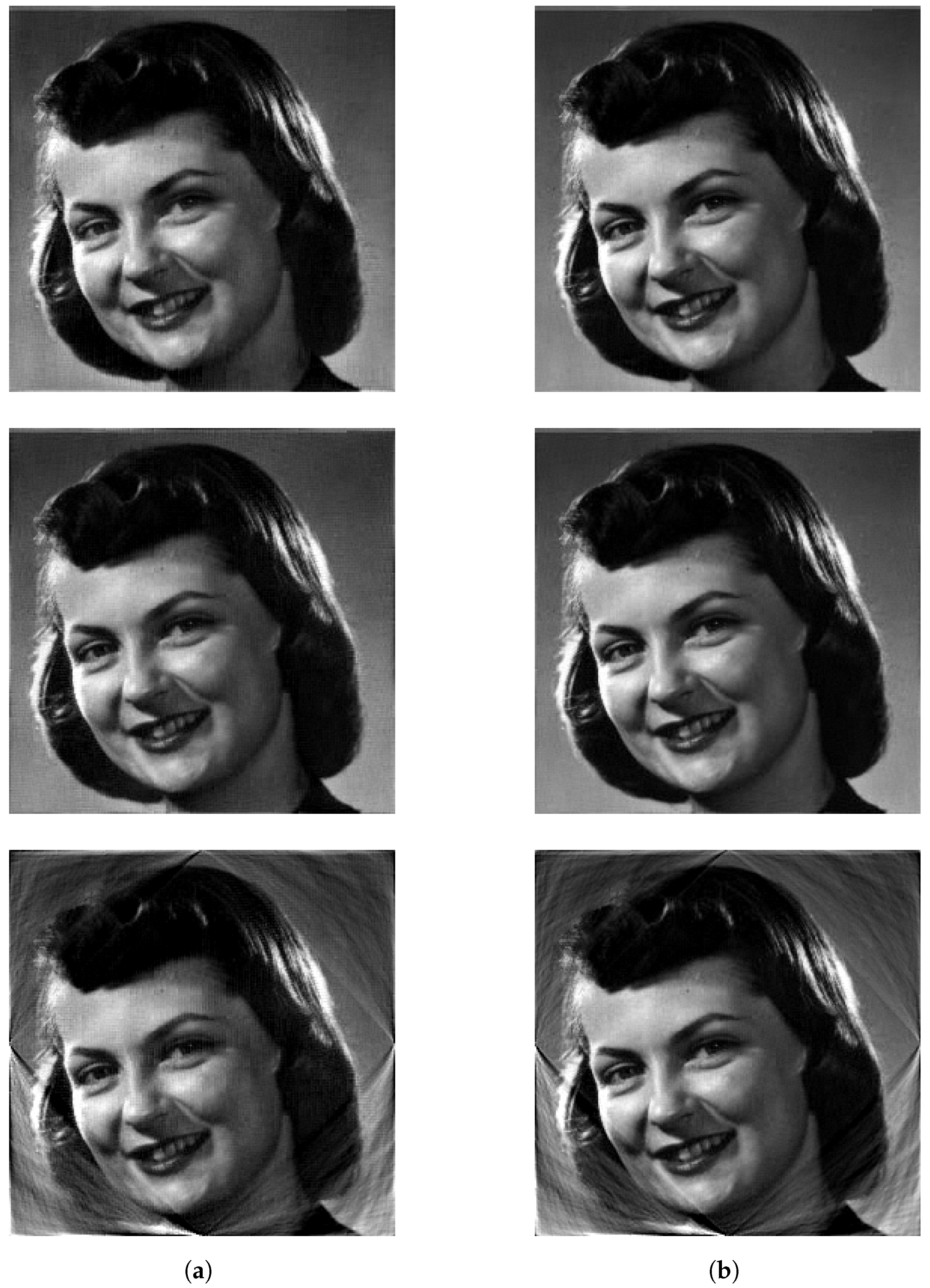 Applsci 11 10606 g019 Applsci 11 10606 g019