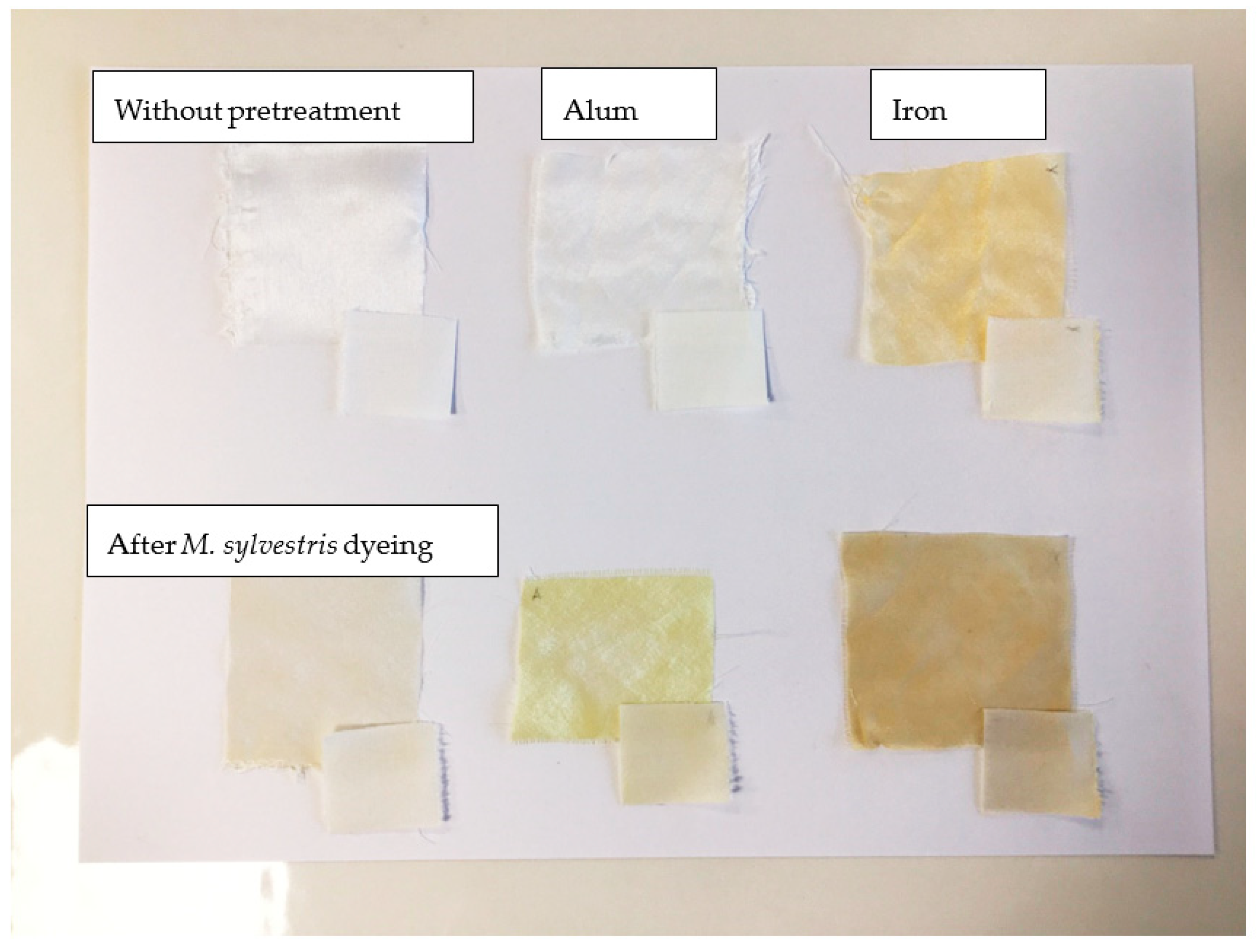 Applsci 11 10613 g003