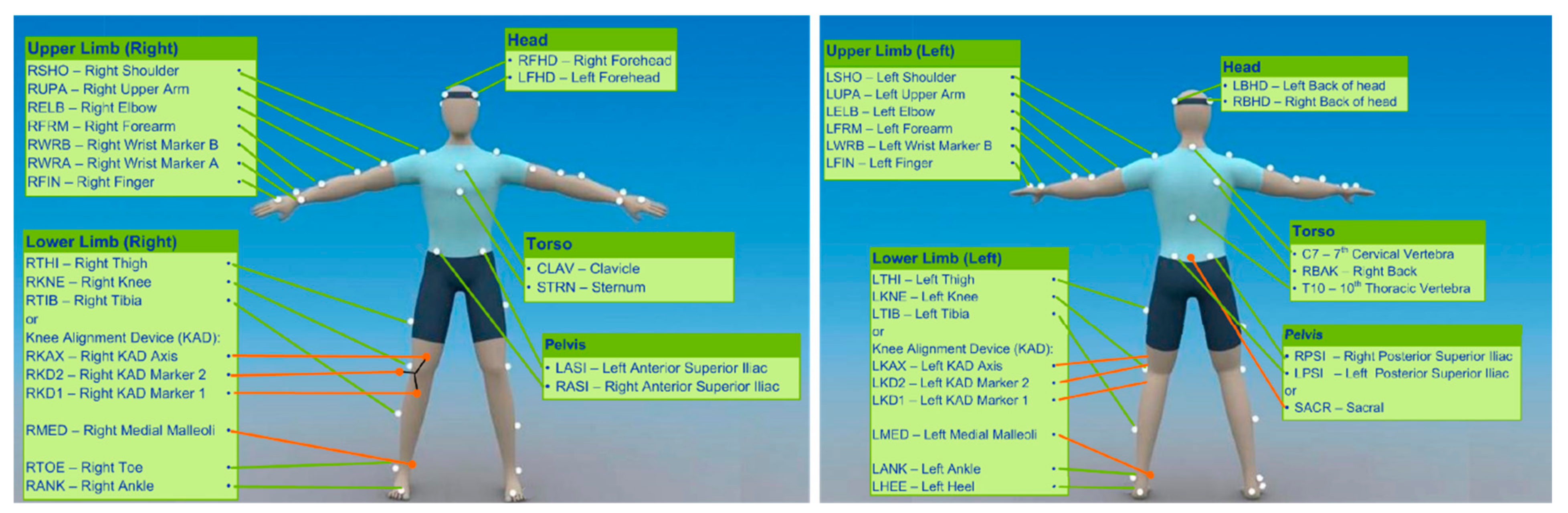 Applsci 11 10645 g005