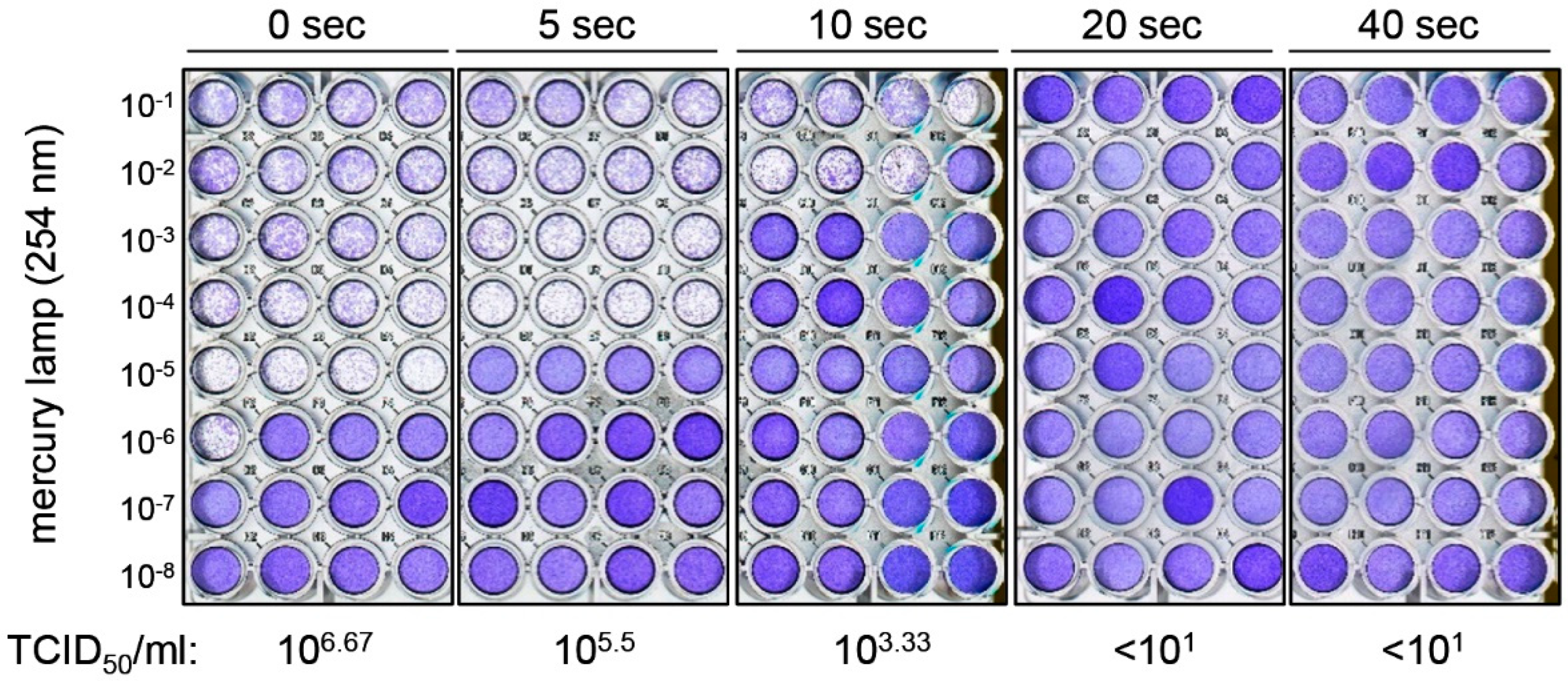 Applsci 11 10661 g002