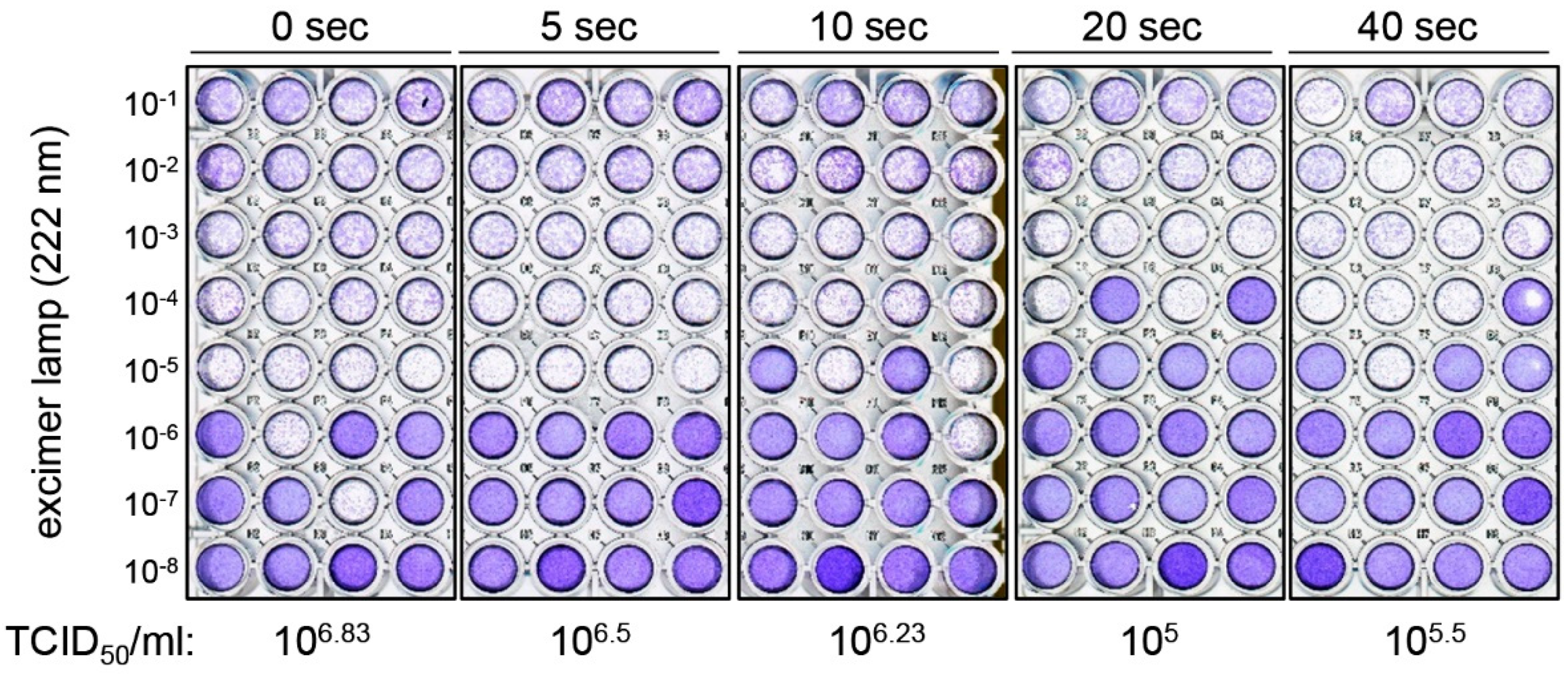 Applsci 11 10661 g003