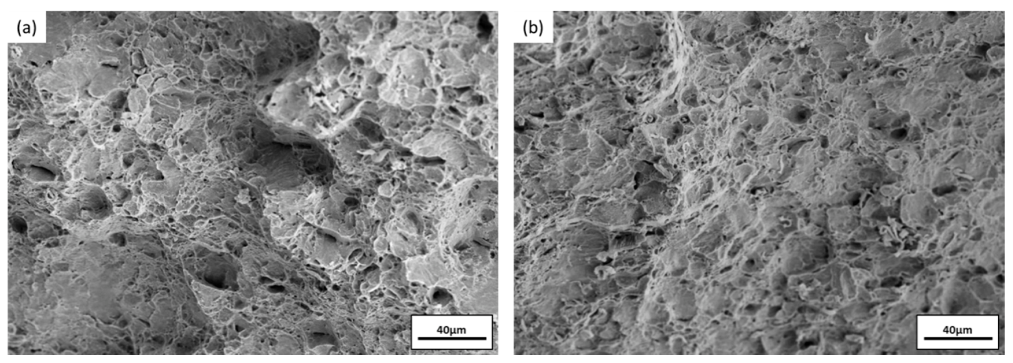 Applsci 11 10677 g007