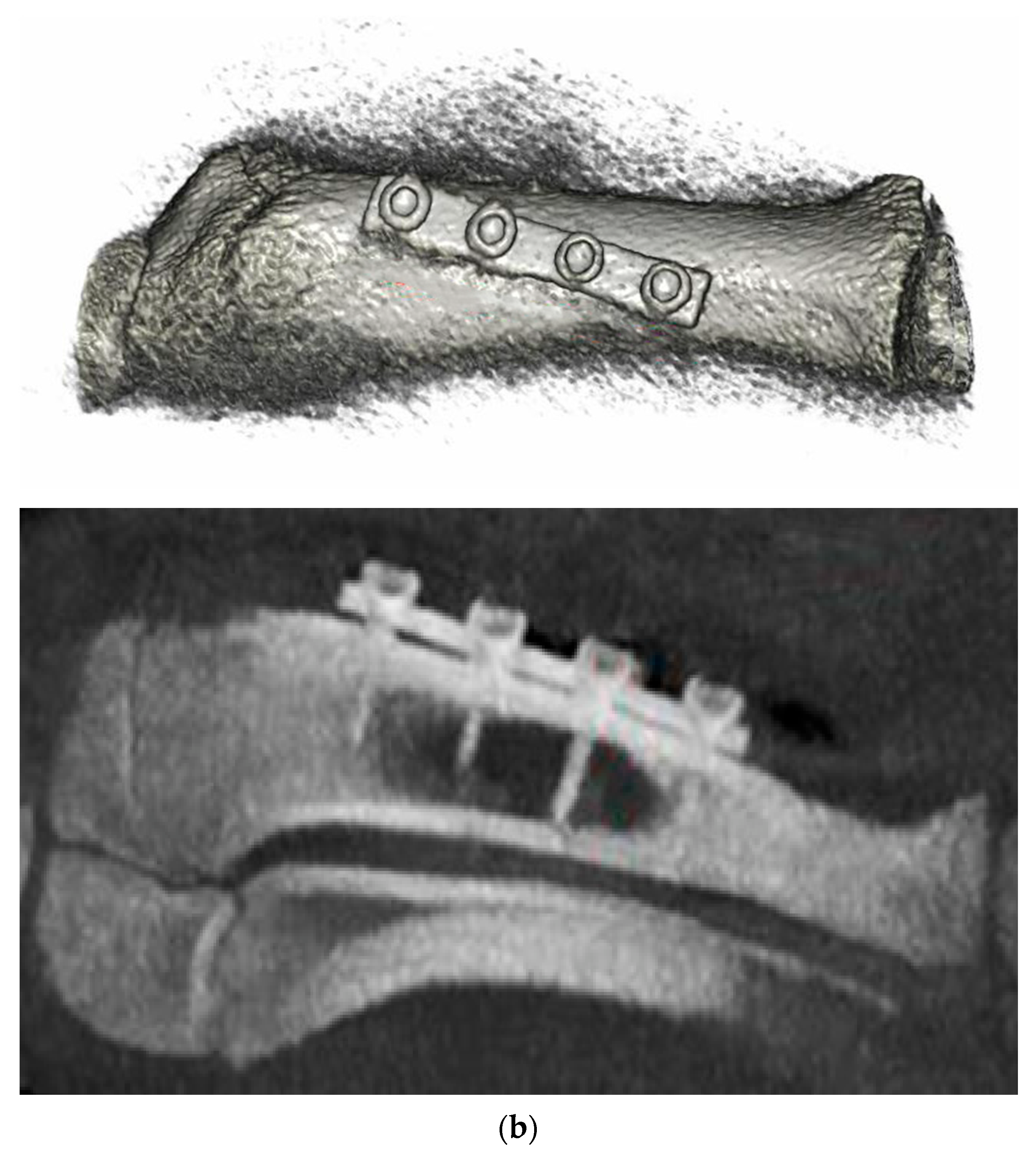 Applsci 11 10677 g013b