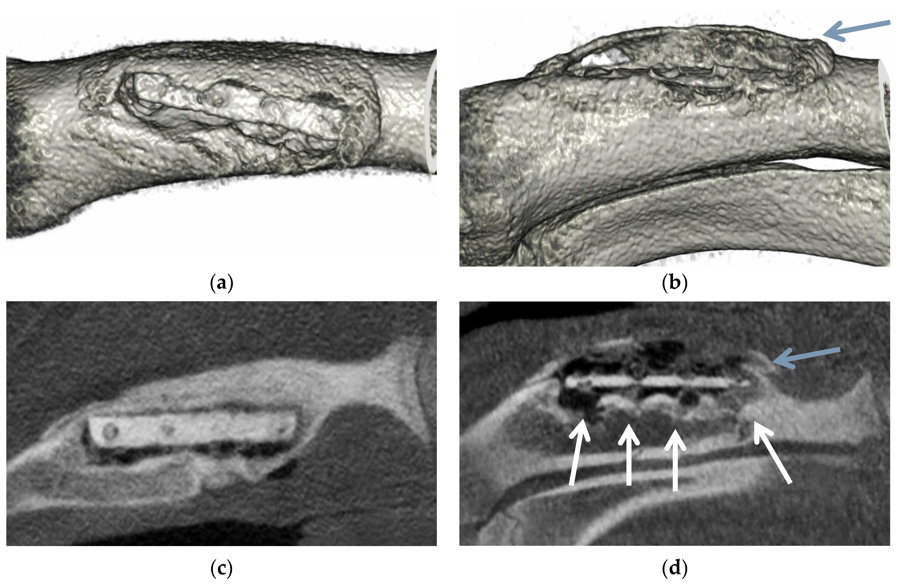 Applsci 11 10677 g015