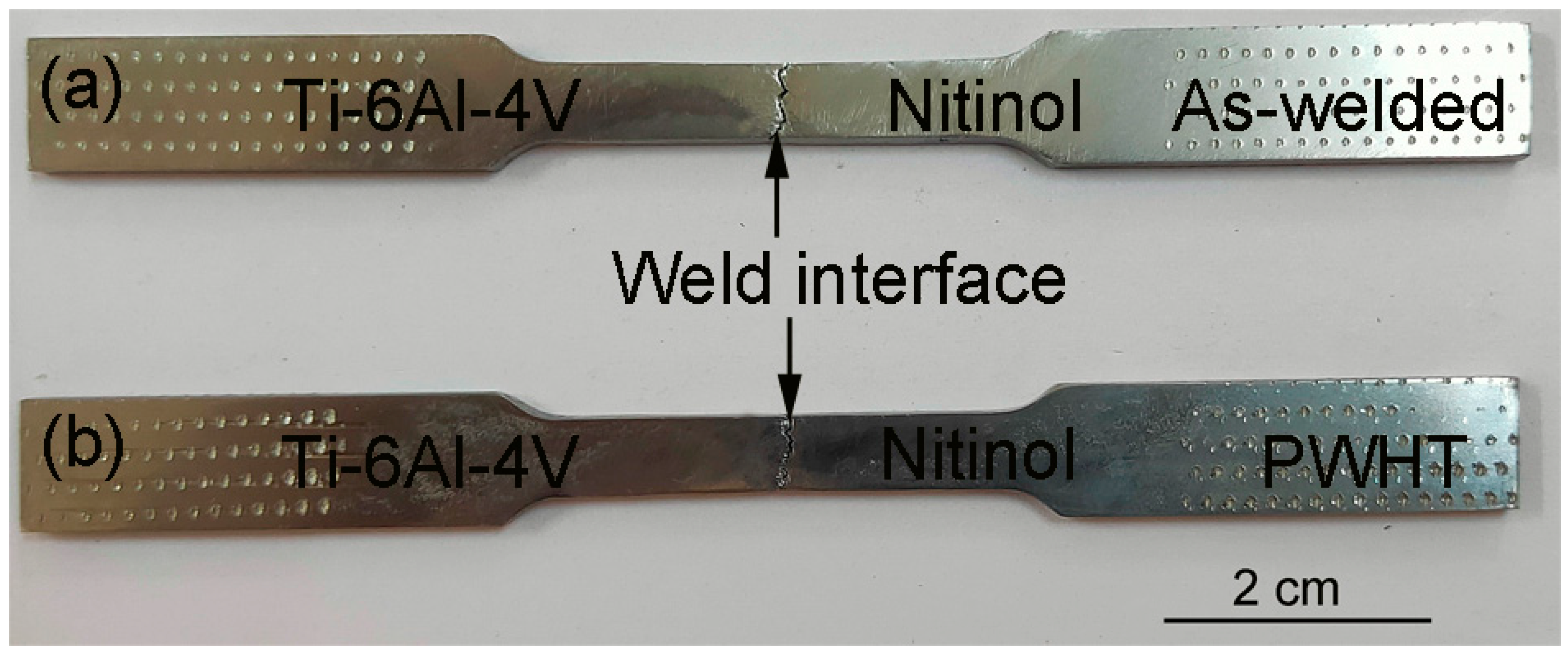 Applsci 11 10680 g012