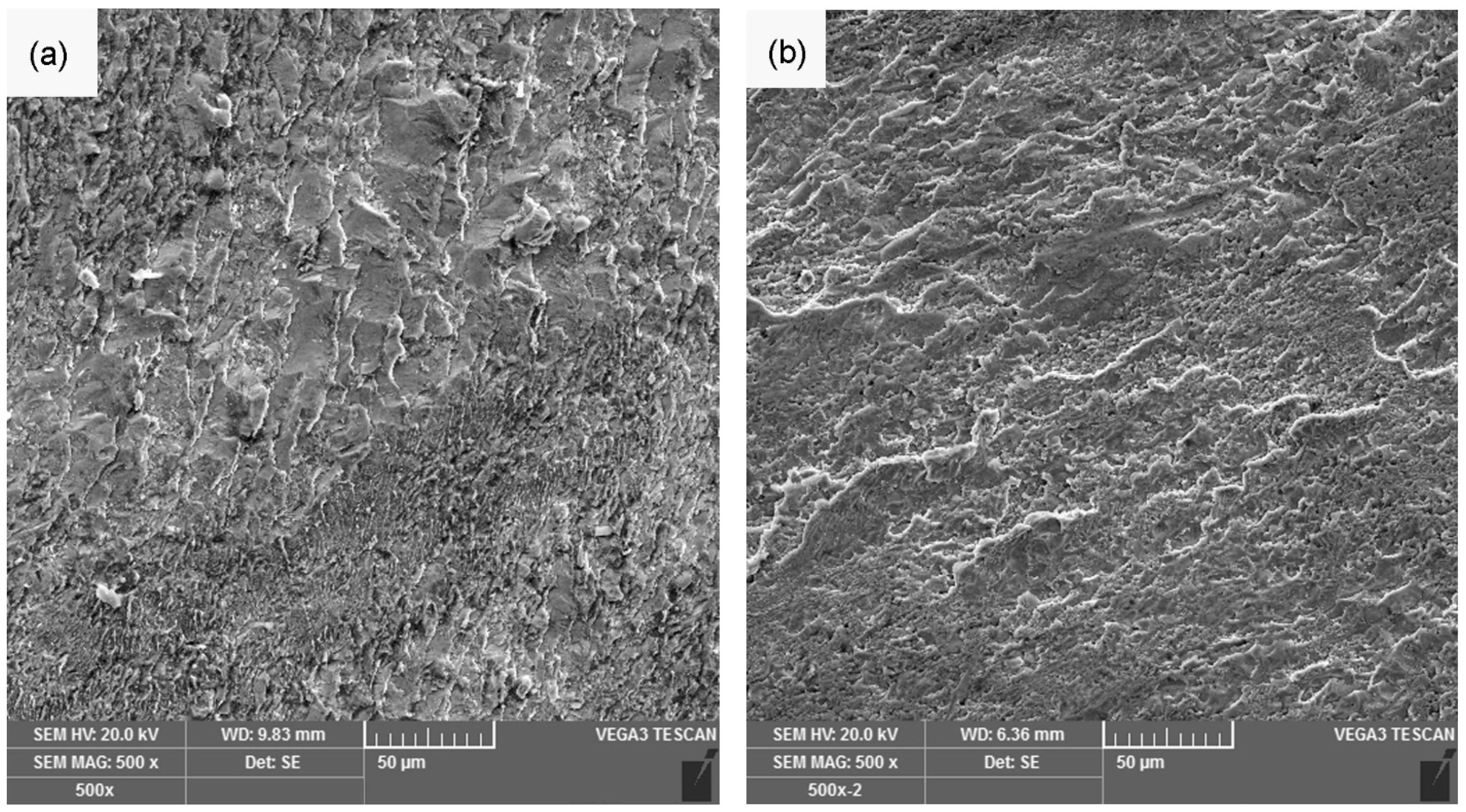 Applsci 11 10680 g013