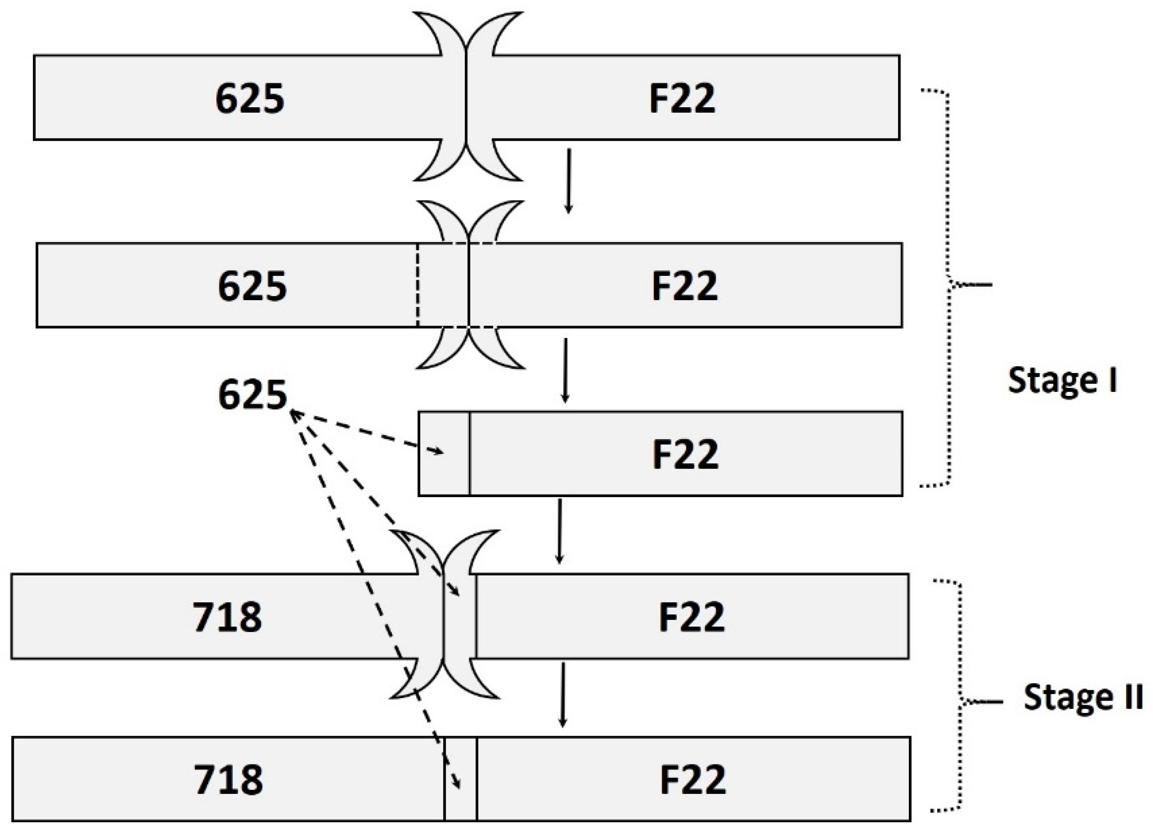 Applsci 11 10684 g001