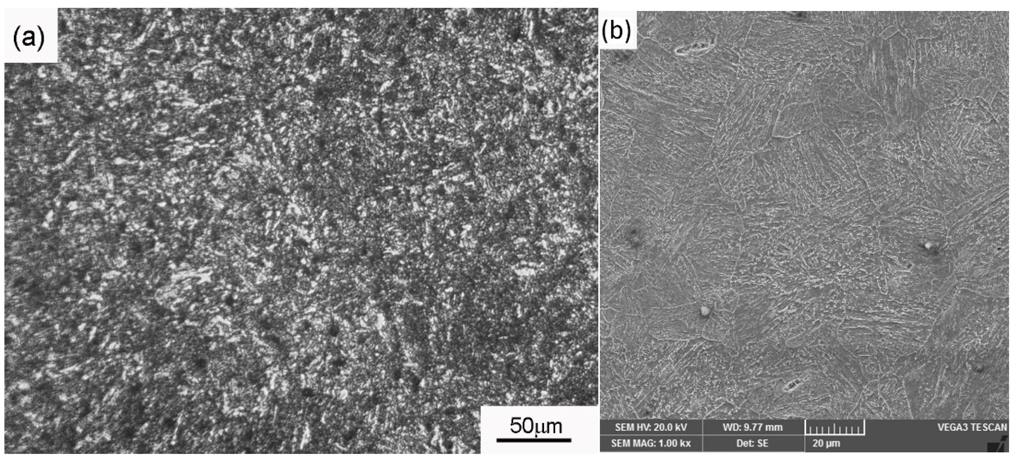 Applsci 11 10684 g002a