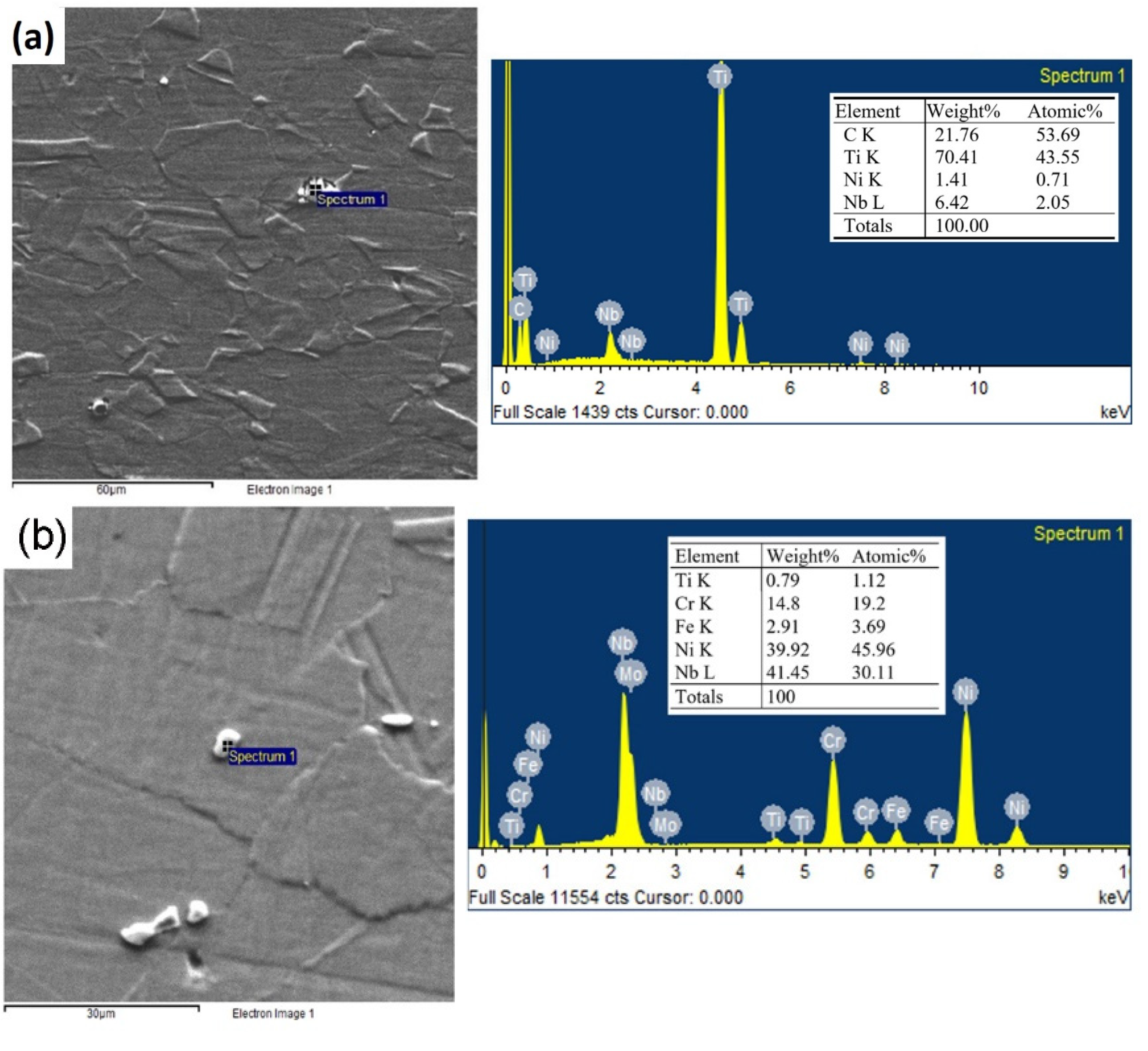 Applsci 11 10684 g004