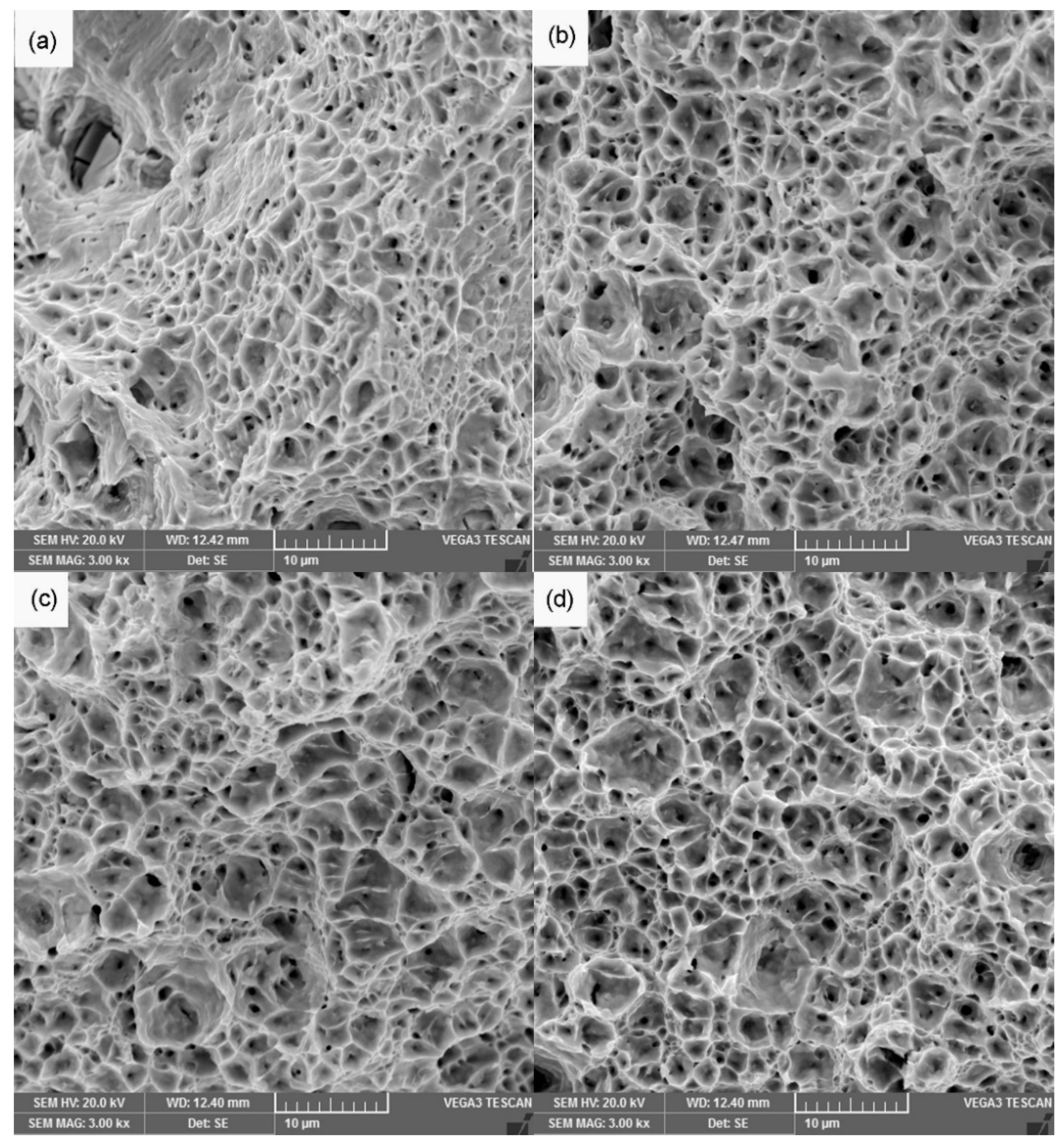 Applsci 11 10684 g010