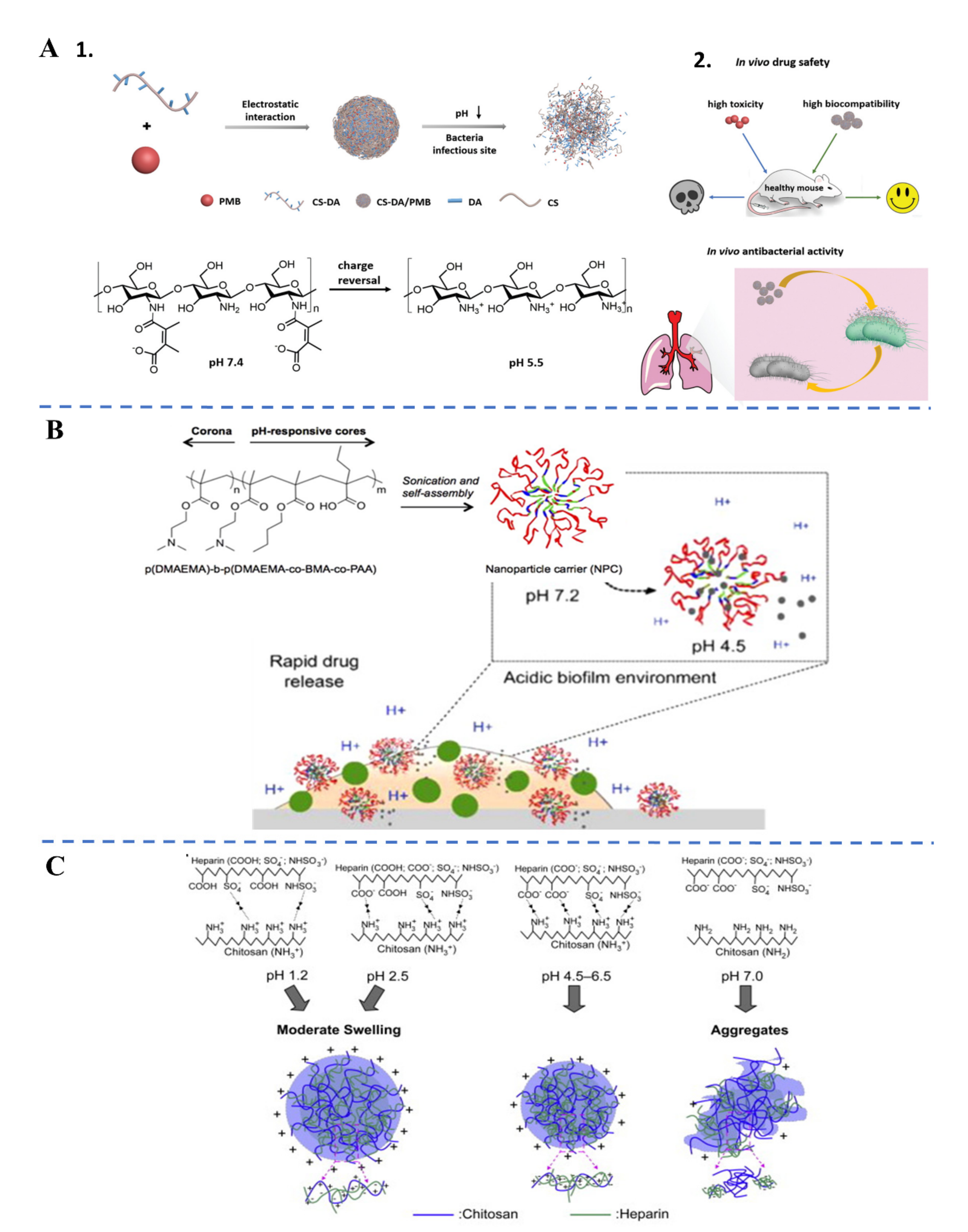 Applsci 11 10695 g004