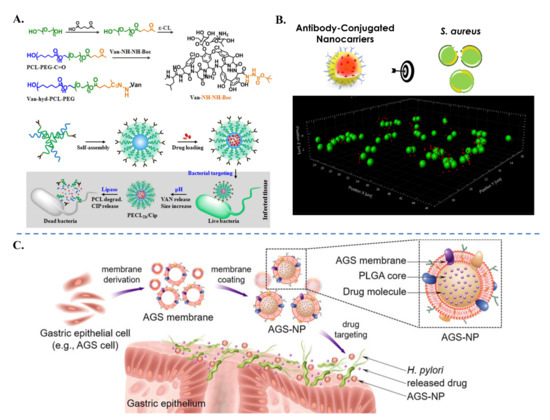 Application of Polymeric Nanocarriers for Enhancing the Bioavailability ...