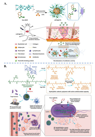 Application of Polymeric Nanocarriers for Enhancing the Bioavailability ...
