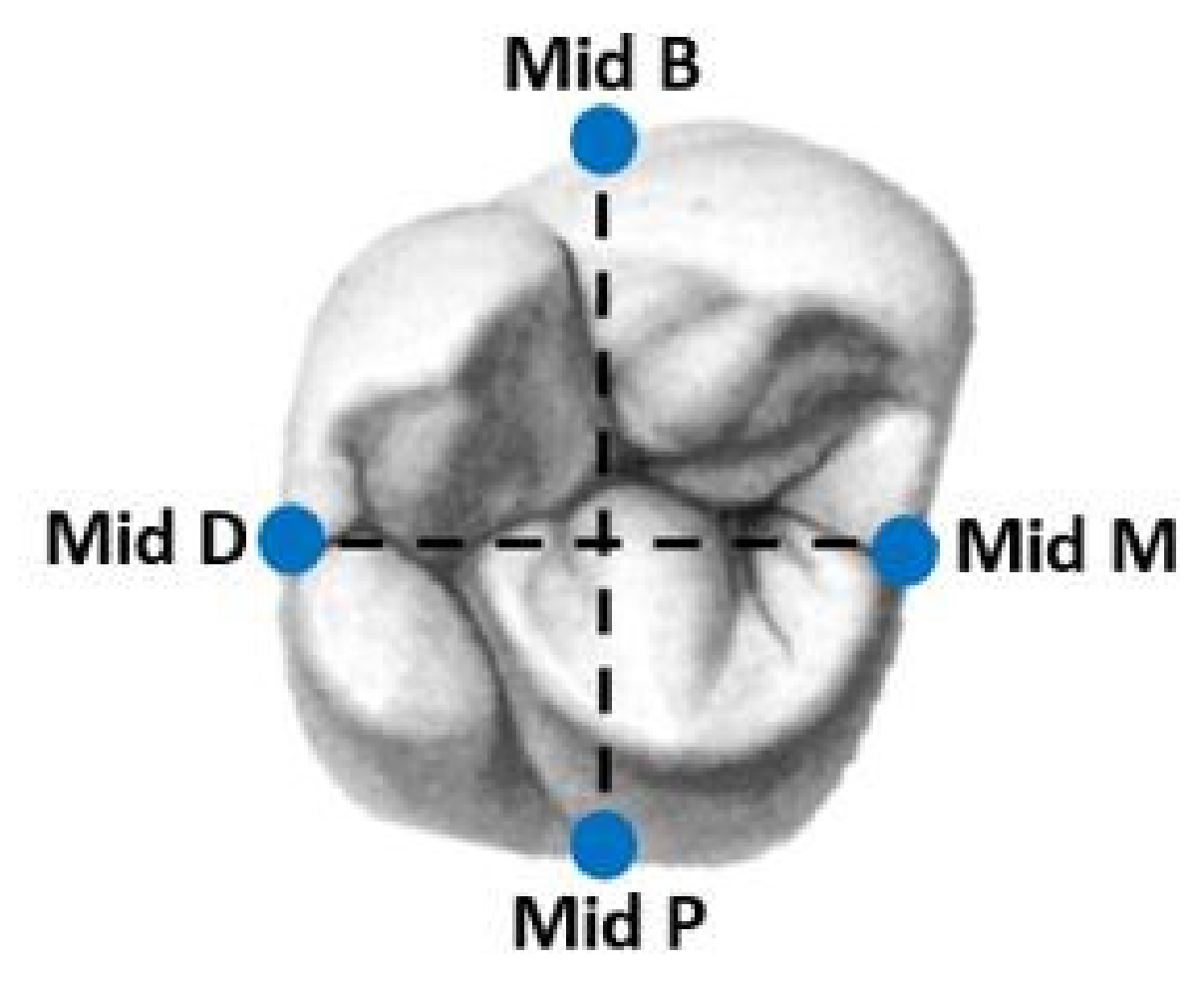 Applsci 11 10709 g002