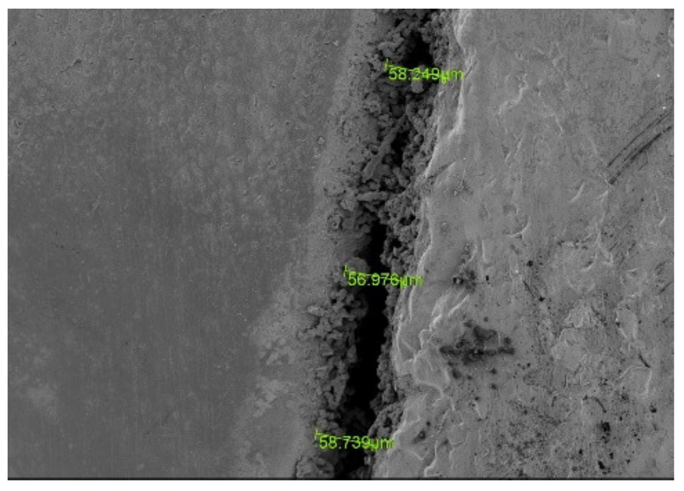 Applsci 11 10709 g003