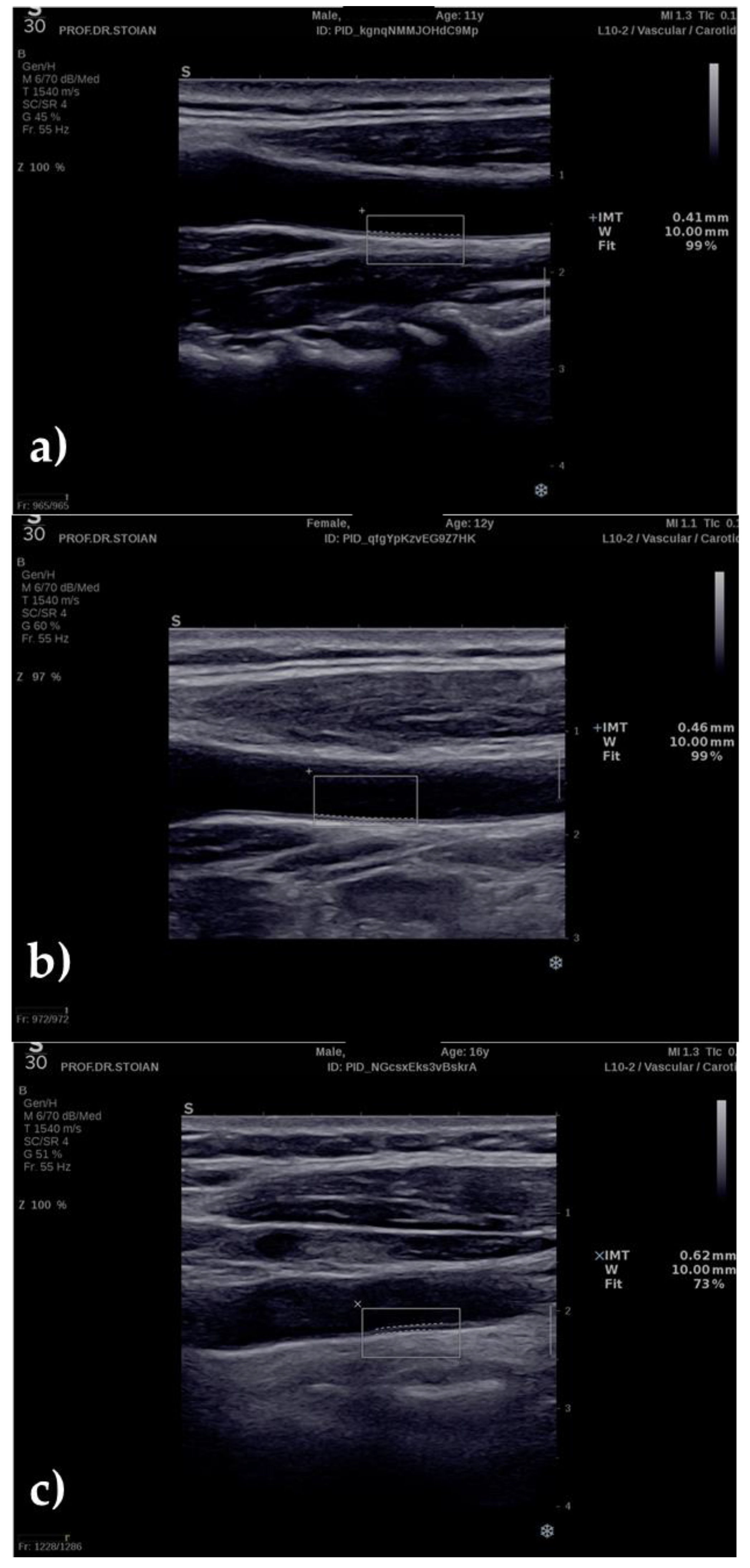 Applsci 11 10721 g001 Applsci 11 10721 g001
