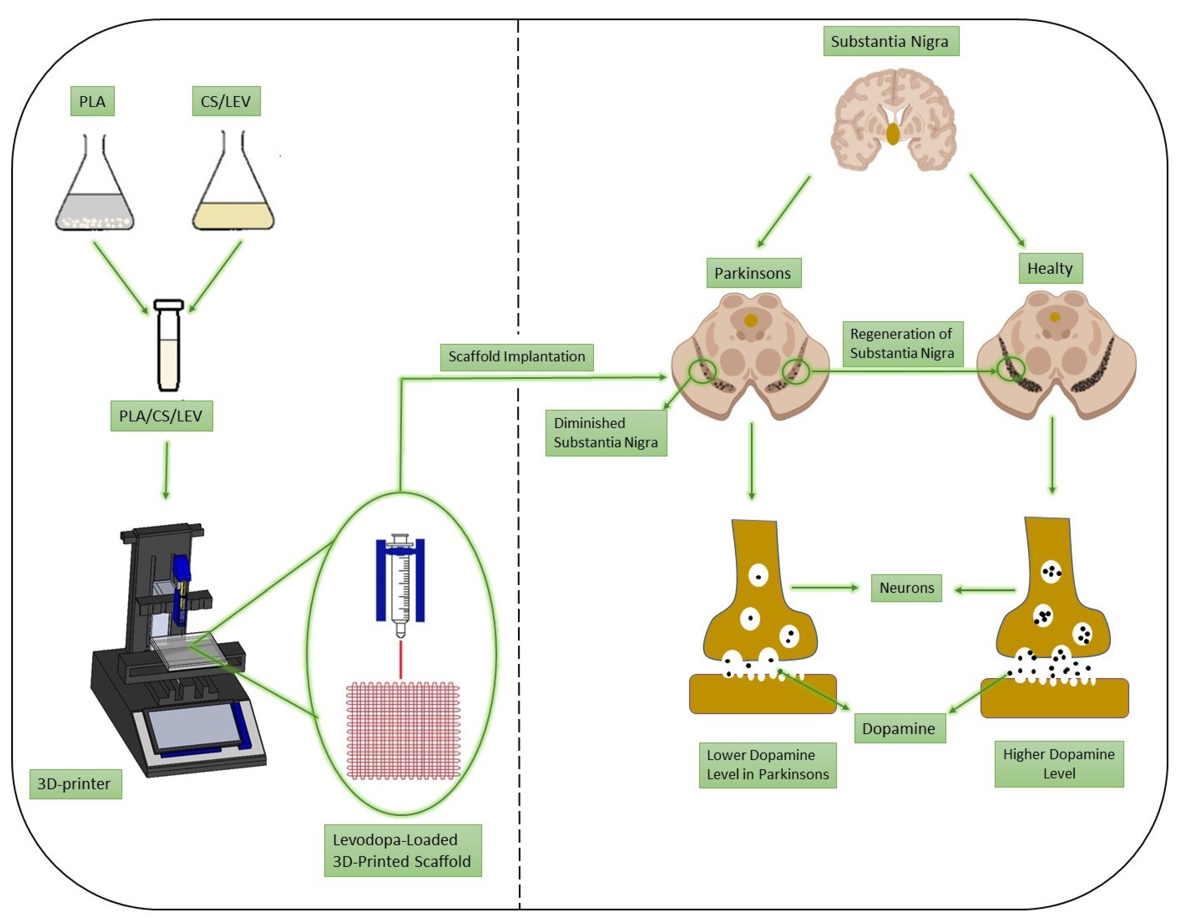 Applsci 11 10727 g001 550