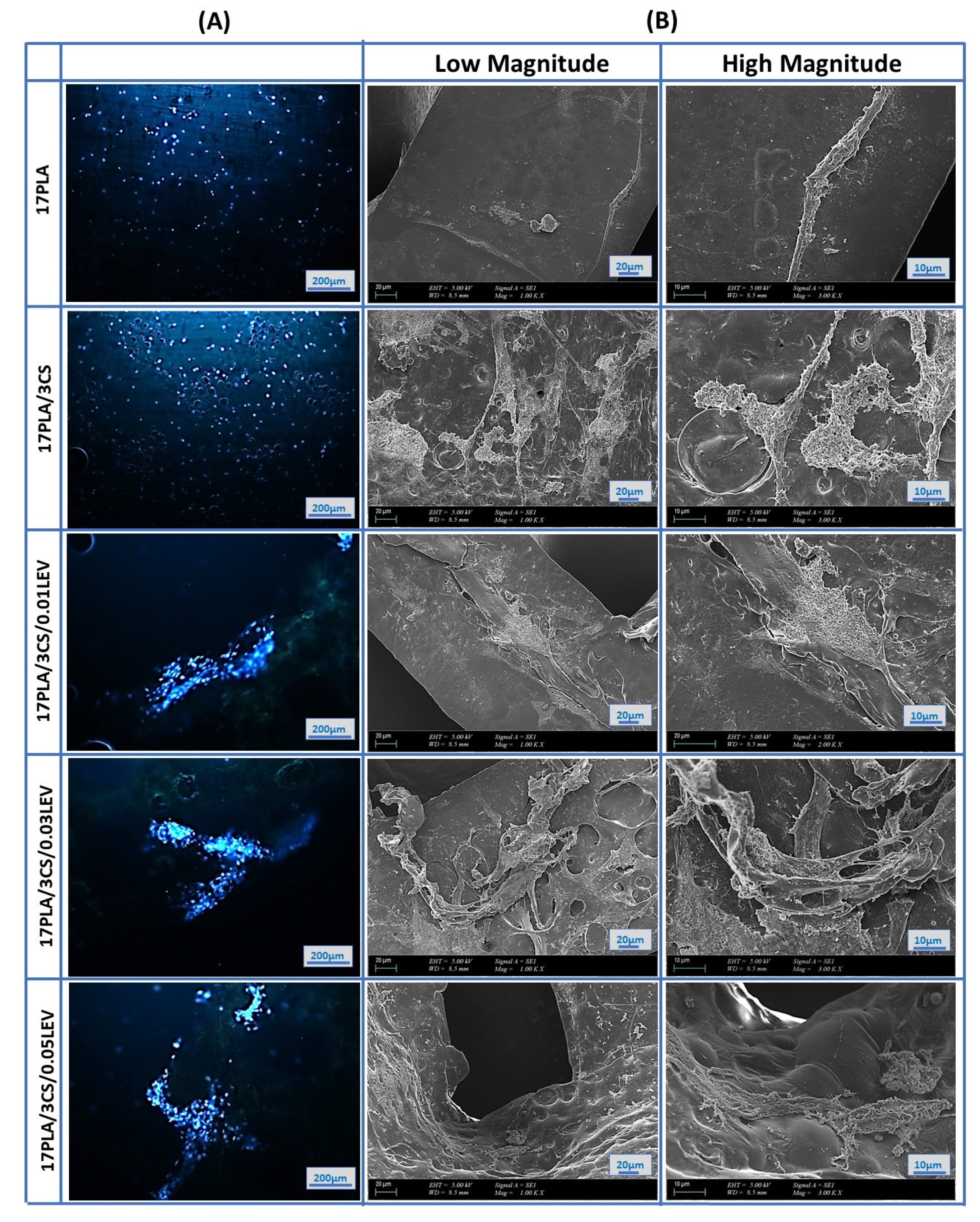 Applsci 11 10727 g010 550