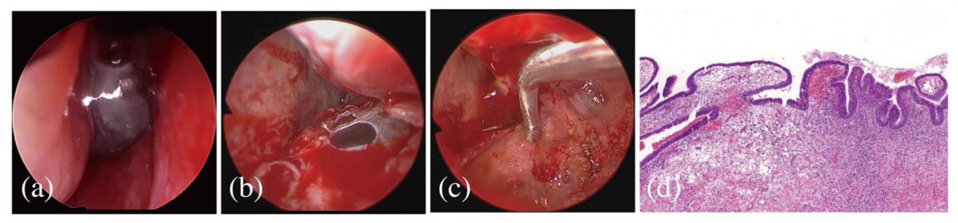 Applsci 11 10730 g004 550