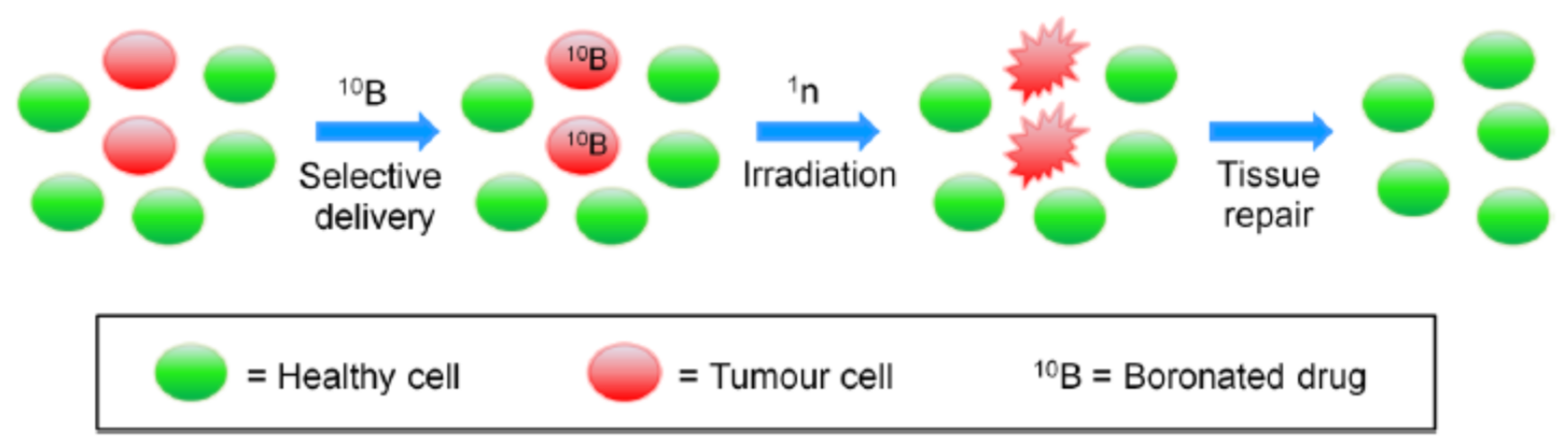 Applsci 11 10738 g001