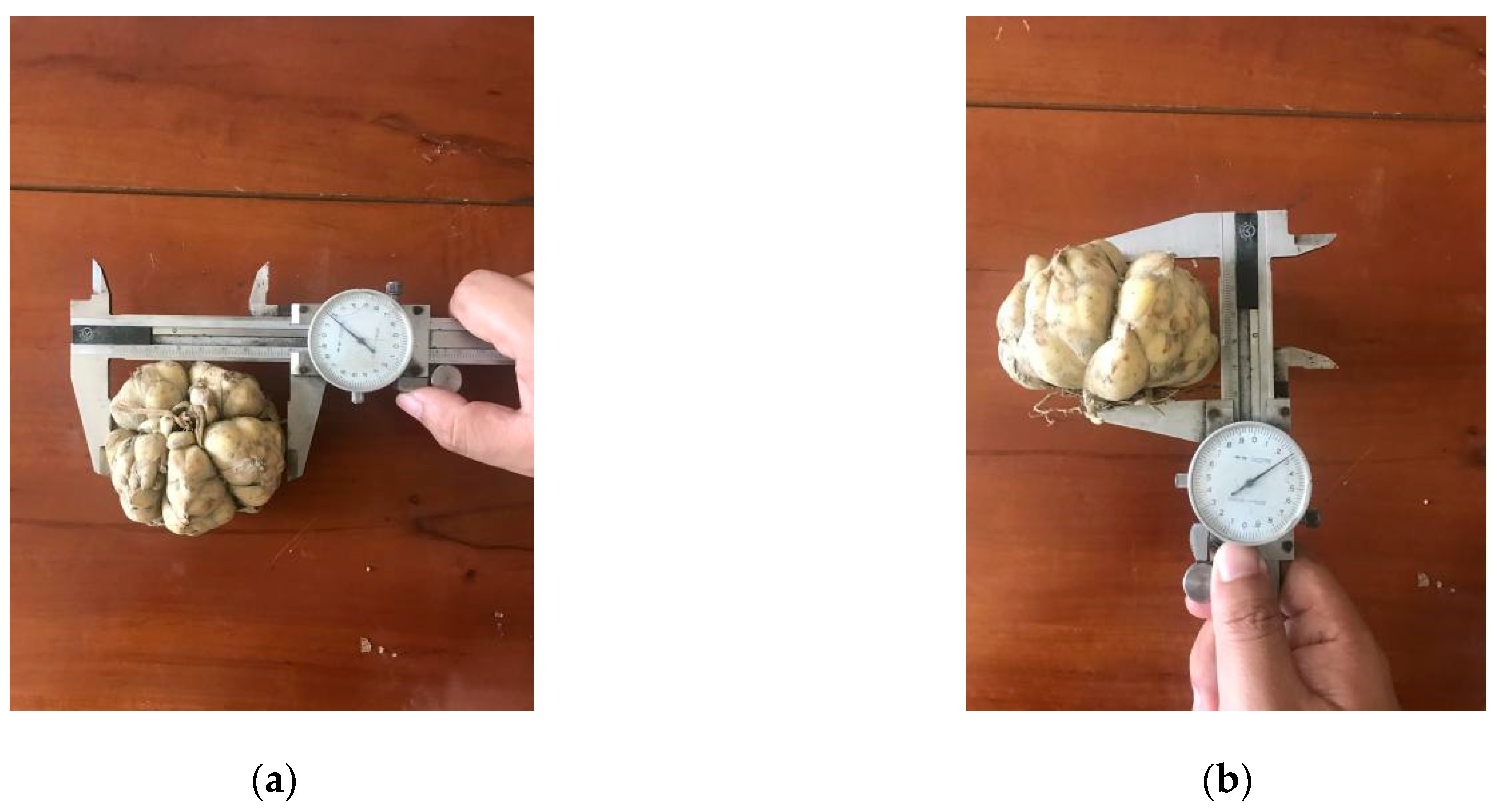 Applsci 11 10749 g001 550