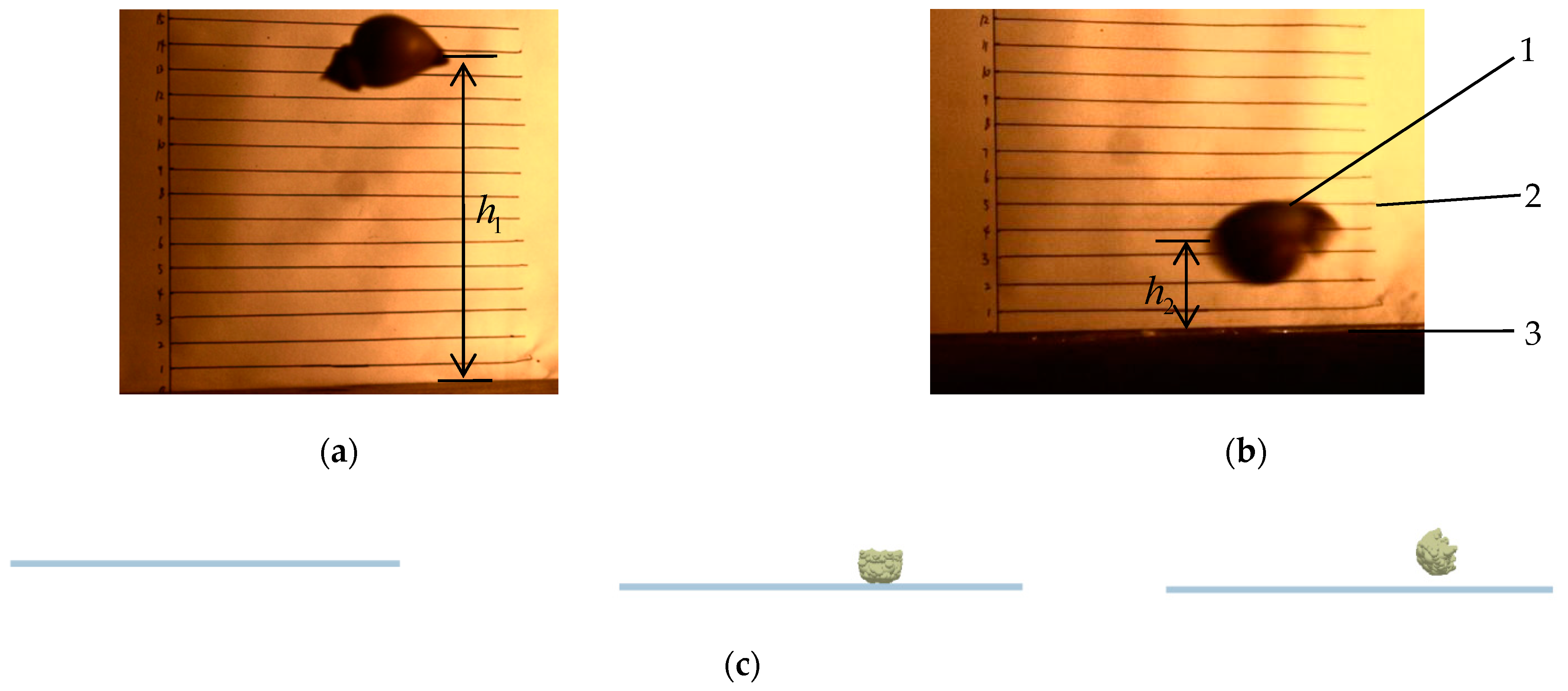 Applsci 11 10749 g003 550