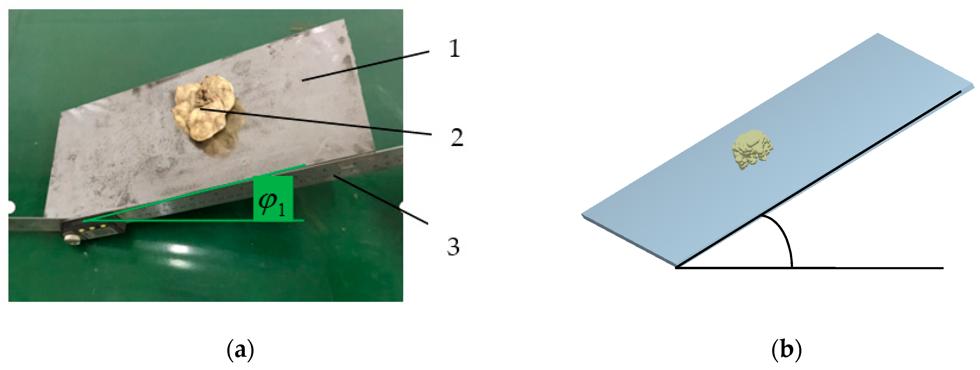 Applsci 11 10749 g005 550