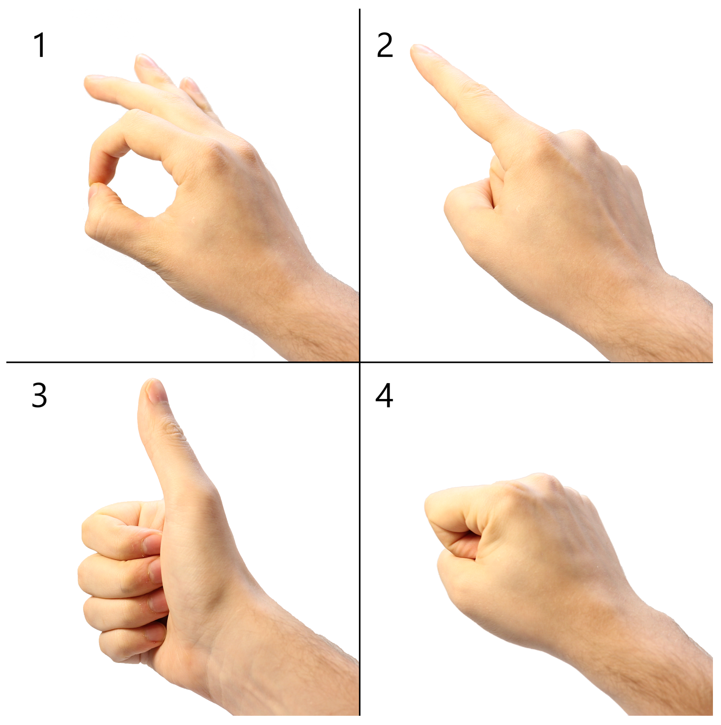 Applsci 11 10767 g002 550