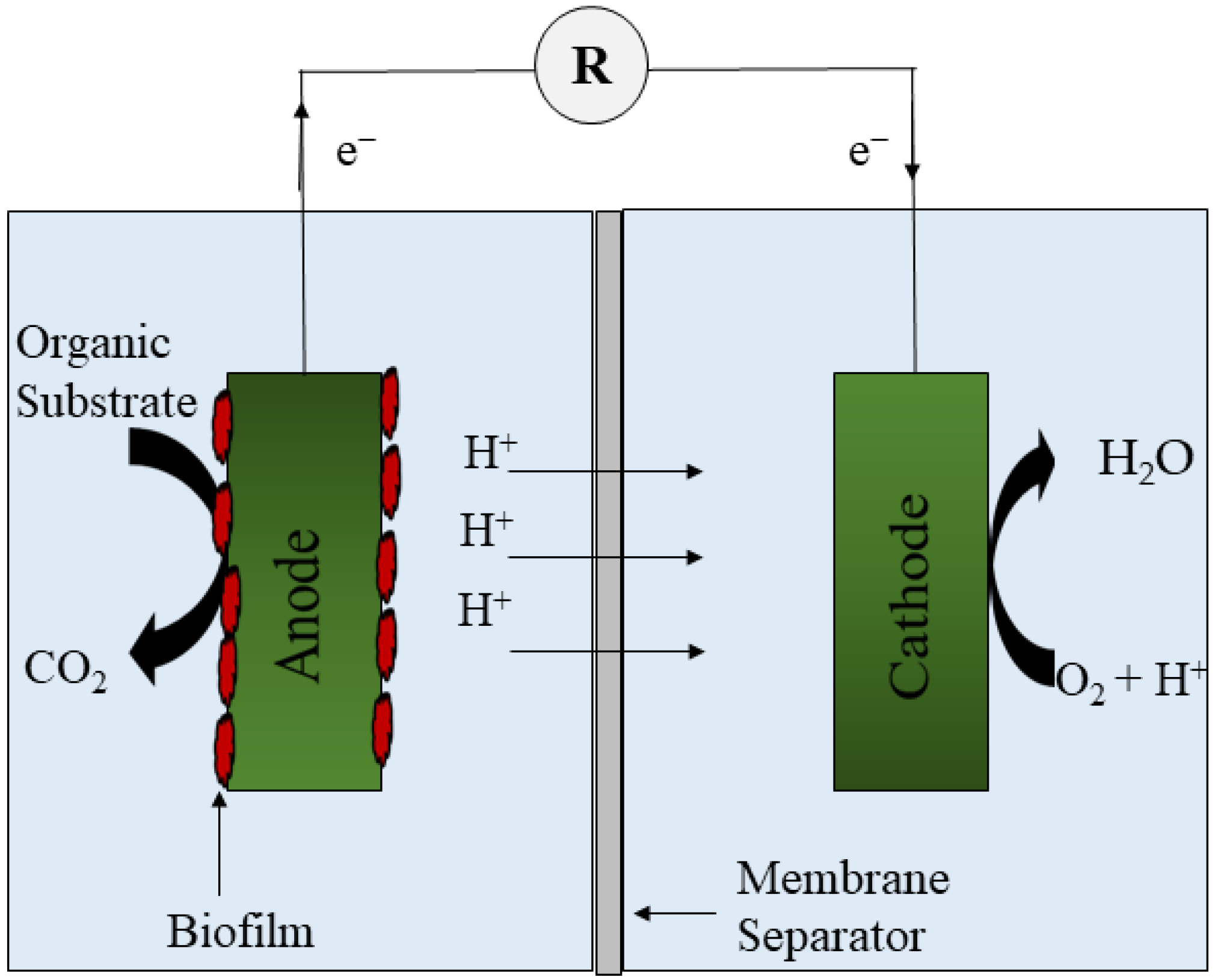 Applied Sciences Free FullText Microbial Fuel Cell United with