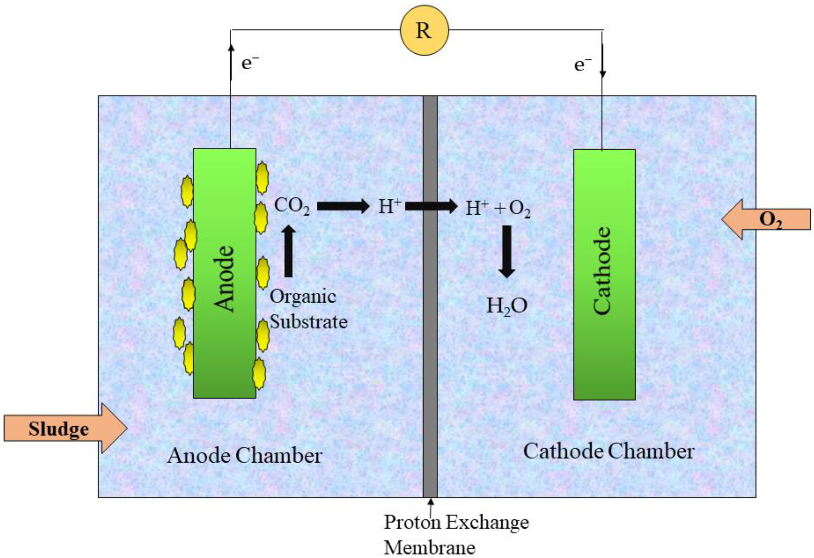 Applsci 11 10777 g007