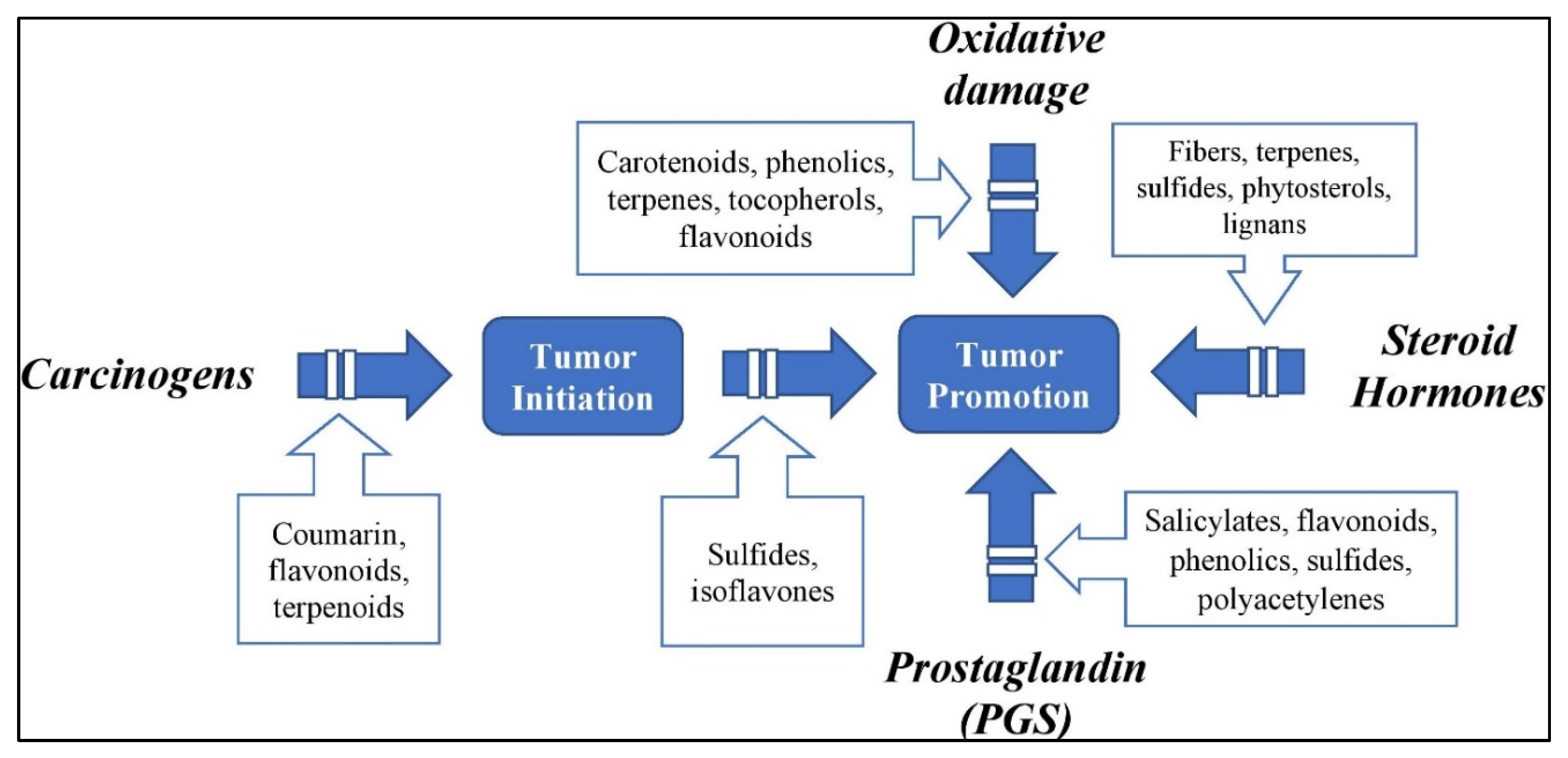 applied sciences free full text cancer chemopreventive role of dietary terpenoids by modulating keap1 nrf2 are signaling system a comprehensive update html